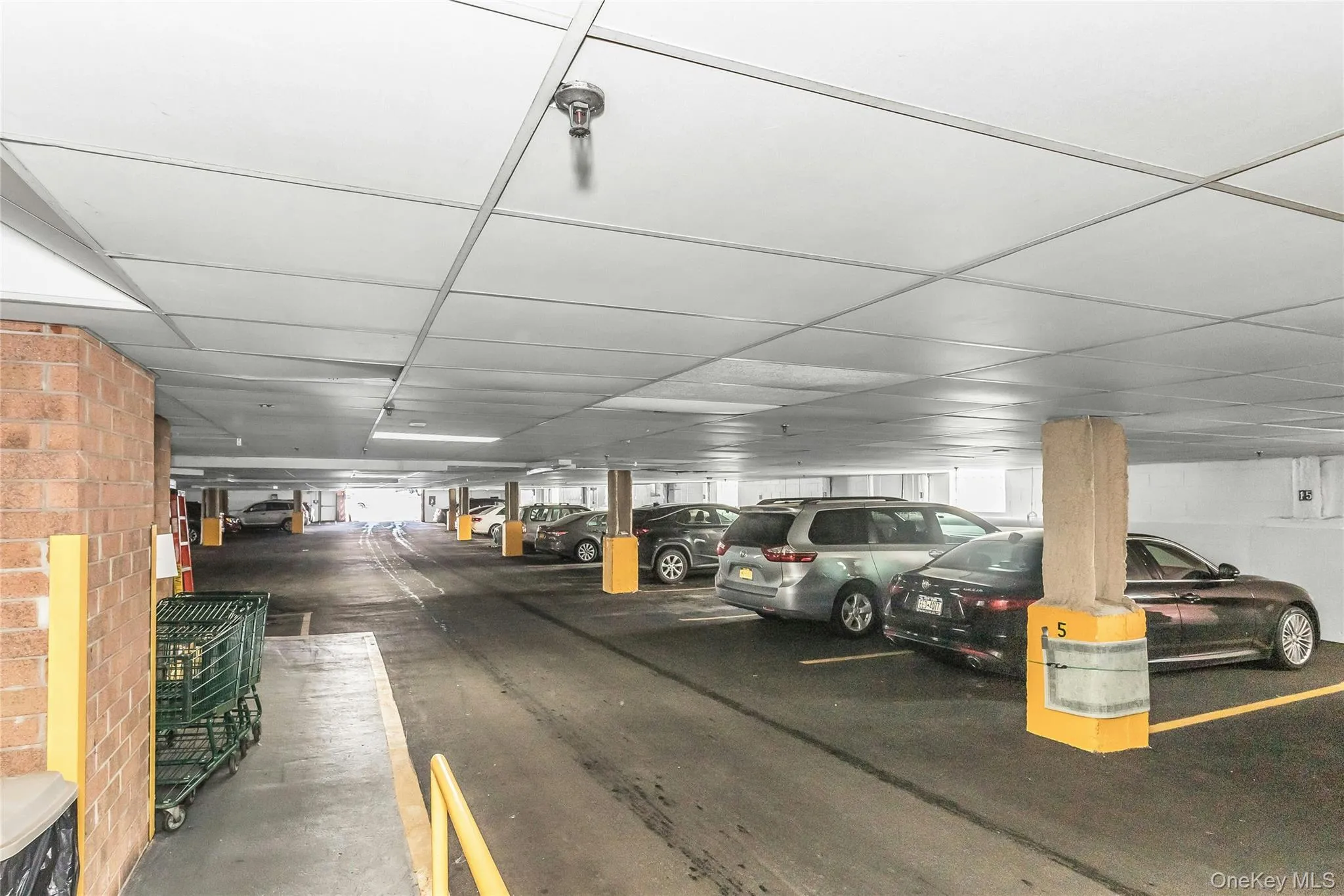 800 Willis Avenue, North Hempstead, NY, 1 Bedroom Bedrooms, 6 Rooms Rooms,1 BathroomBathrooms,Residential,For Rent,Willis,0,1033885 800 Willis Avenue, North Hempstead, NY, 1 Bedroom Bedrooms, 6 Rooms Rooms,1 BathroomBathrooms,Residential,For Rent,Willis,0,1033885