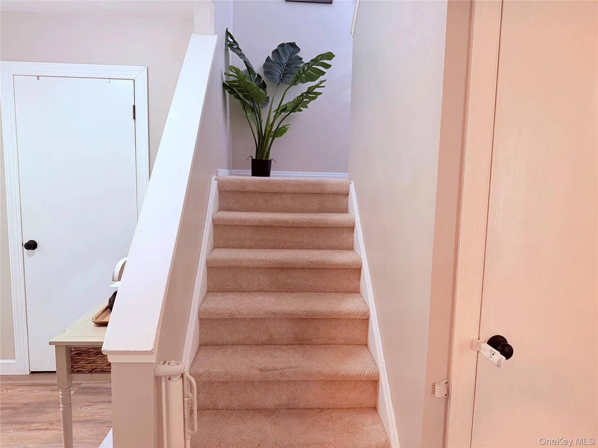 45 Redwood Drive, Woodbury, NY, 2 Bedrooms Bedrooms, 5 Rooms Rooms,1 BathroomBathrooms,Residential,For Rent,Redwood,0,1033890 45 Redwood Drive, Woodbury, NY, 2 Bedrooms Bedrooms, 5 Rooms Rooms,1 BathroomBathrooms,Residential,For Rent,Redwood,0,1033890