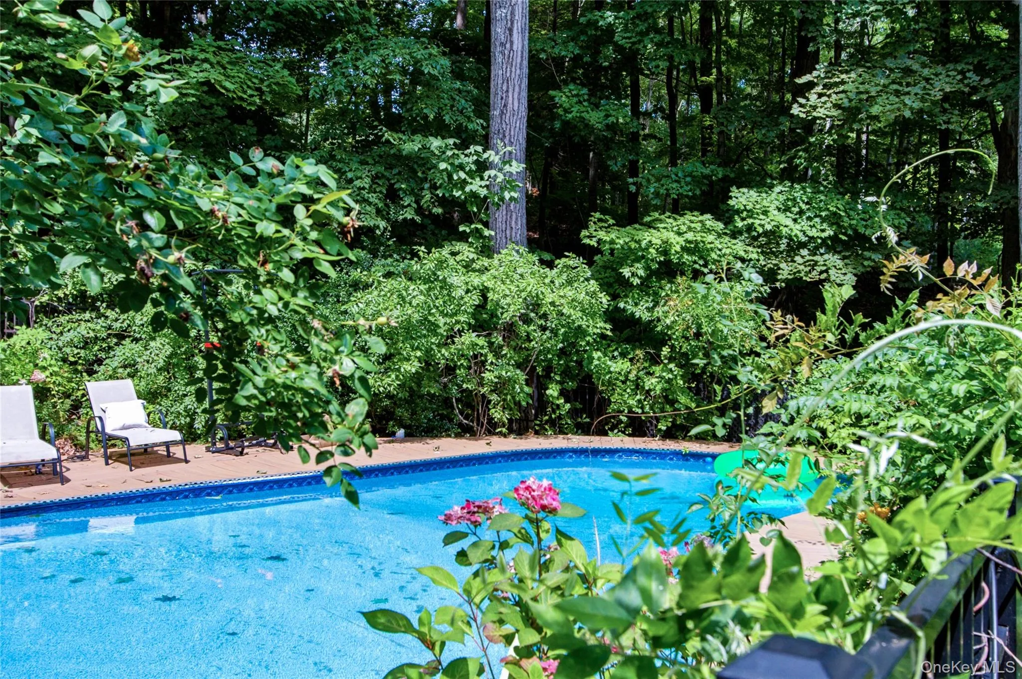 69 Canopus Hill Road, Carmel, NY, 4 Bedrooms Bedrooms, 7 Rooms Rooms,3 BathroomsBathrooms,Residential,For Rent,Canopus Hill,0,1033894 69 Canopus Hill Road, Carmel, NY, 4 Bedrooms Bedrooms, 7 Rooms Rooms,3 BathroomsBathrooms,Residential,For Rent,Canopus Hill,0,1033894