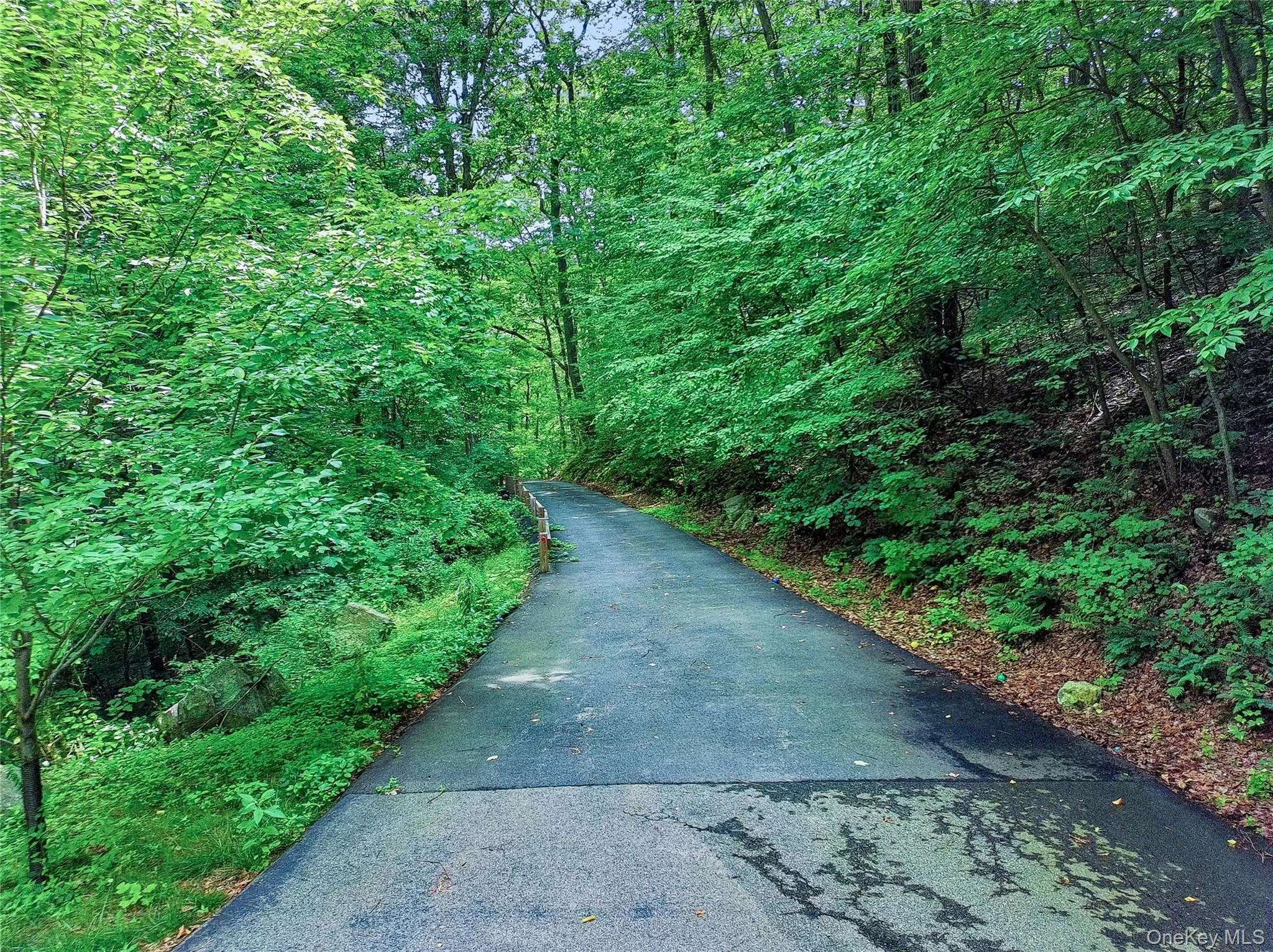 69 Canopus Hill Road, Carmel, NY, 4 Bedrooms Bedrooms, 7 Rooms Rooms,3 BathroomsBathrooms,Residential,For Rent,Canopus Hill,0,1033894 69 Canopus Hill Road, Carmel, NY, 4 Bedrooms Bedrooms, 7 Rooms Rooms,3 BathroomsBathrooms,Residential,For Rent,Canopus Hill,0,1033894