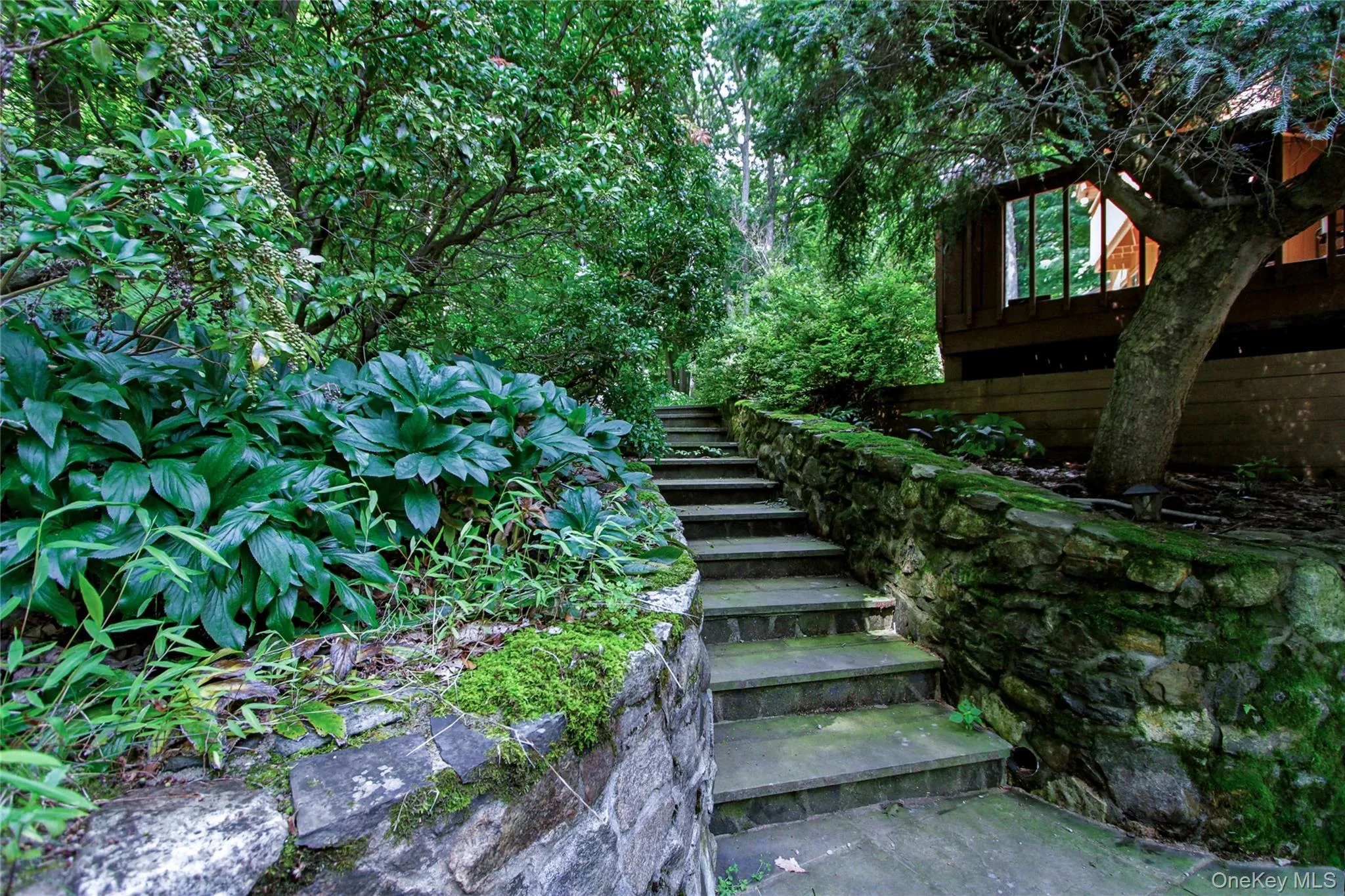 69 Canopus Hill Road, Carmel, NY, 4 Bedrooms Bedrooms, 7 Rooms Rooms,3 BathroomsBathrooms,Residential,For Rent,Canopus Hill,0,1033894 69 Canopus Hill Road, Carmel, NY, 4 Bedrooms Bedrooms, 7 Rooms Rooms,3 BathroomsBathrooms,Residential,For Rent,Canopus Hill,0,1033894
