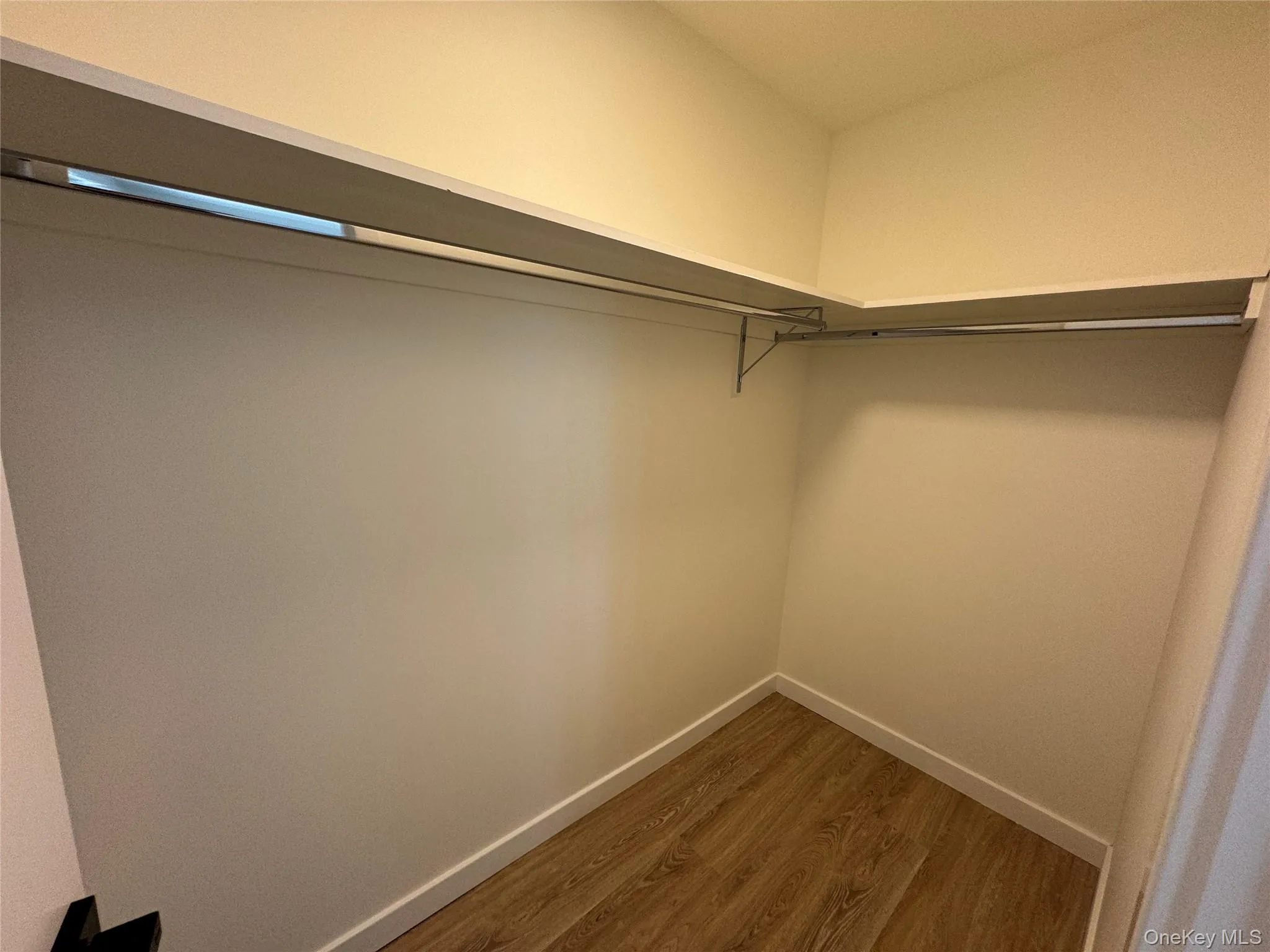 Spacious closet with dark wood-style floors Spacious closet with dark wood-style floors