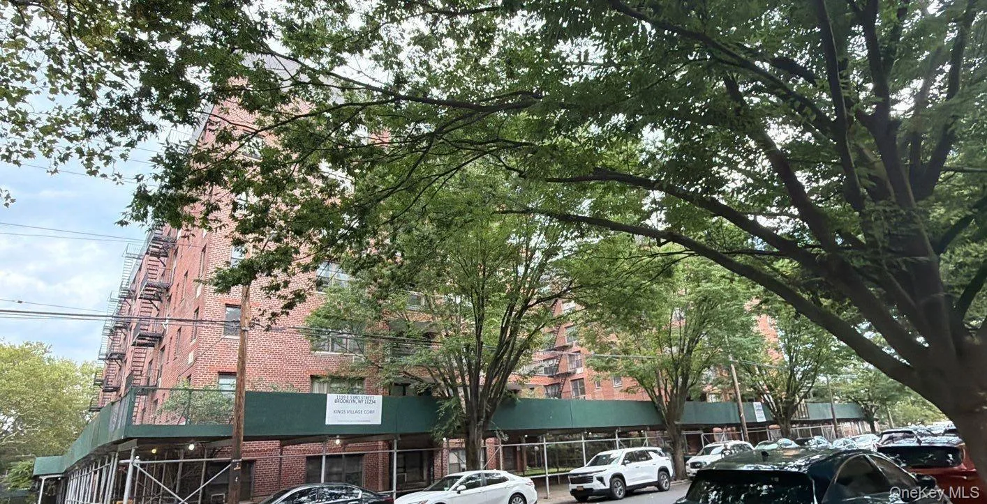 1199 53rd Street, New York, NY, 2 Bedrooms Bedrooms, 4 Rooms Rooms,1 BathroomBathrooms,Residential,For Rent,53rd,0,1033940 1199 53rd Street, New York, NY, 2 Bedrooms Bedrooms, 4 Rooms Rooms,1 BathroomBathrooms,Residential,For Rent,53rd,0,1033940