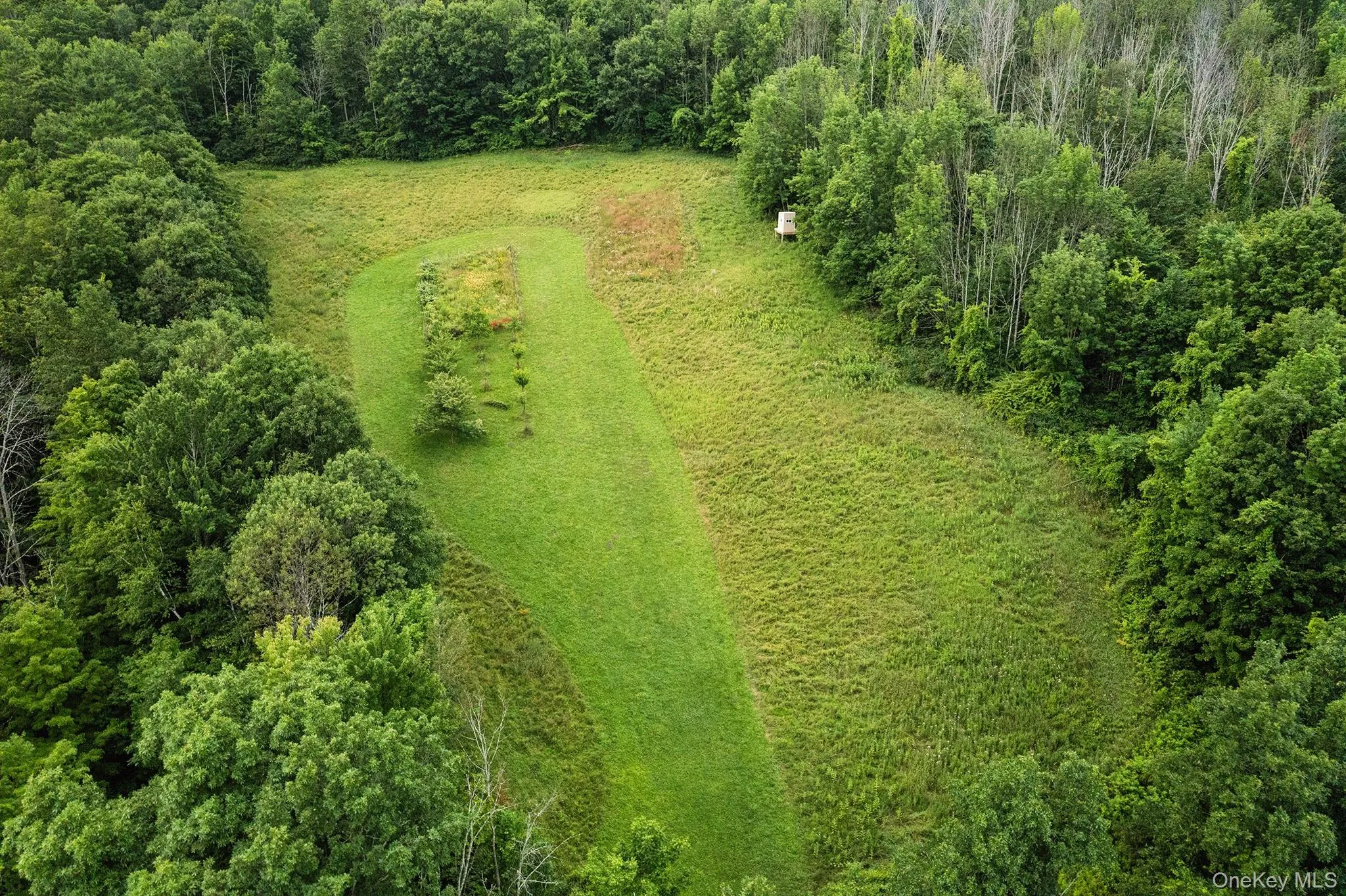 234 Mary Taylor Road, Schoharie, NY, 5 Bedrooms Bedrooms, 11 Rooms Rooms,3 BathroomsBathrooms,Residential,For Rent,Mary Taylor Road,0,1033943 234 Mary Taylor Road, Schoharie, NY, 5 Bedrooms Bedrooms, 11 Rooms Rooms,3 BathroomsBathrooms,Residential,For Rent,Mary Taylor Road,0,1033943