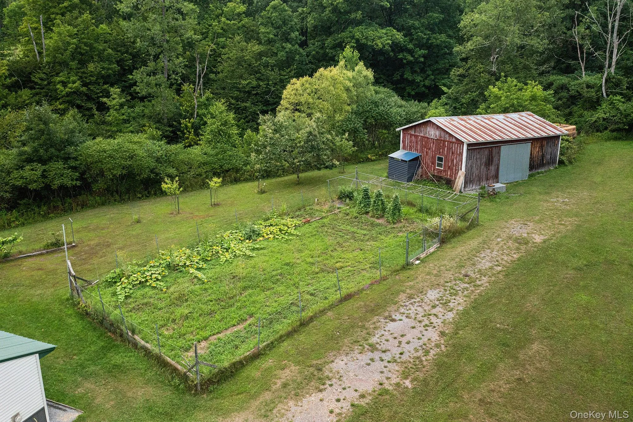 234 Mary Taylor Road, Schoharie, NY, 5 Bedrooms Bedrooms, 11 Rooms Rooms,3 BathroomsBathrooms,Residential,For Rent,Mary Taylor Road,0,1033943 234 Mary Taylor Road, Schoharie, NY, 5 Bedrooms Bedrooms, 11 Rooms Rooms,3 BathroomsBathrooms,Residential,For Rent,Mary Taylor Road,0,1033943