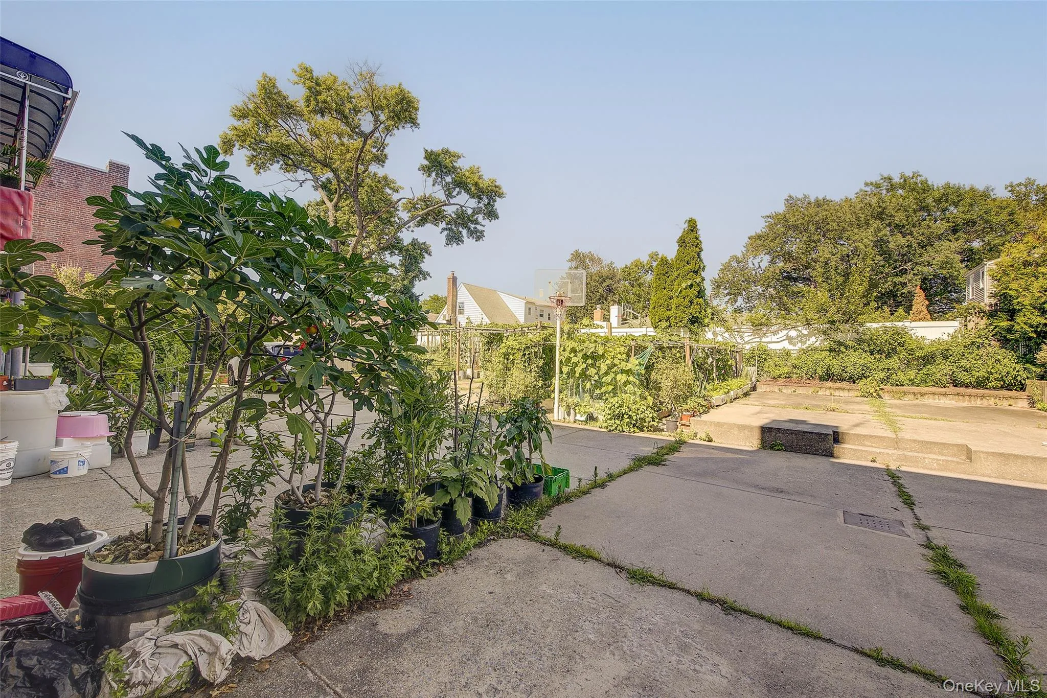 Yard Yard