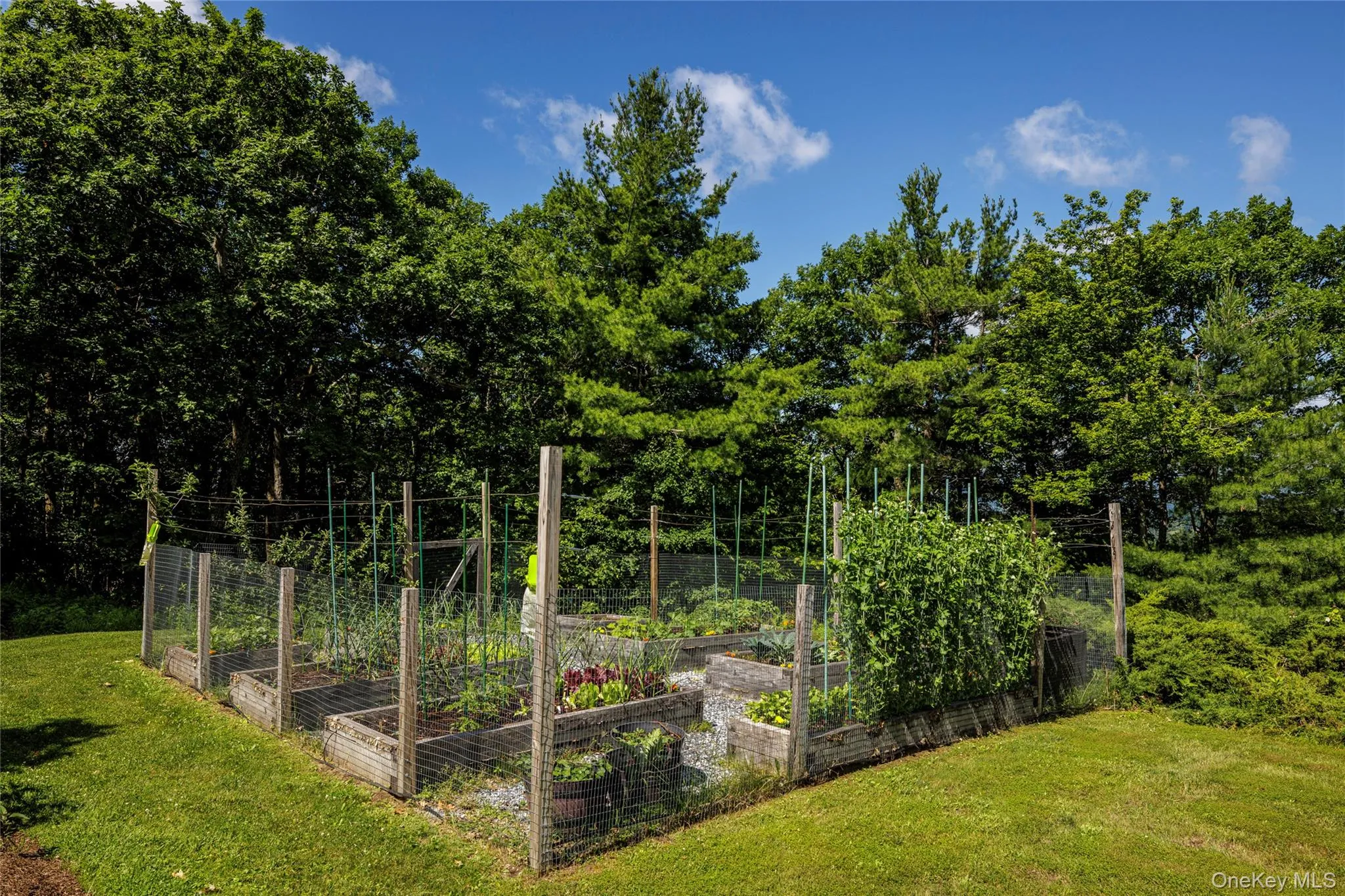 116 Ridge Road, Canaan, NY, 4 Bedrooms Bedrooms, 17 Rooms Rooms,3 BathroomsBathrooms,Residential,For Rent,Ridge,0,1033983 116 Ridge Road, Canaan, NY, 4 Bedrooms Bedrooms, 17 Rooms Rooms,3 BathroomsBathrooms,Residential,For Rent,Ridge,0,1033983