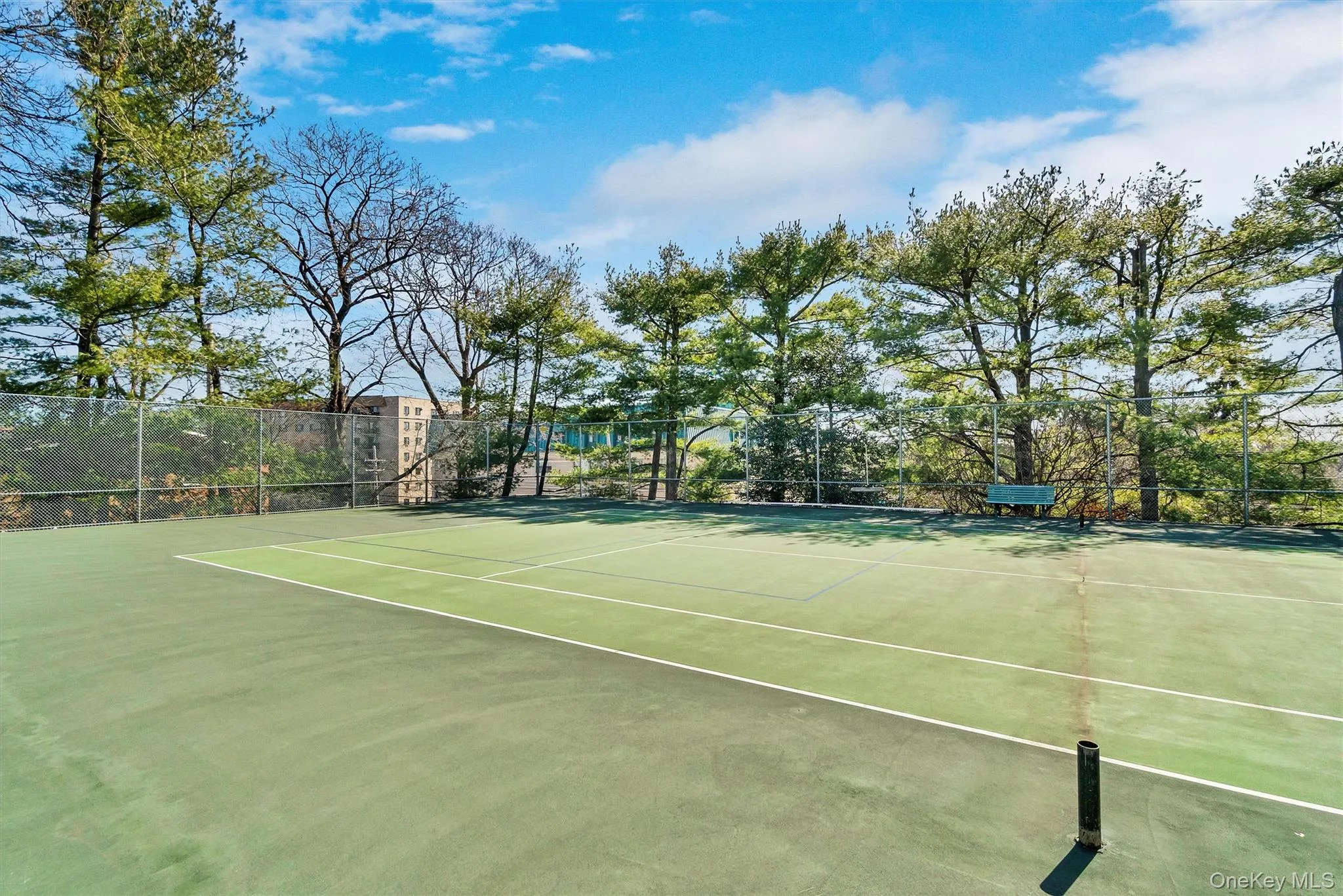703 Pelham Road, New Rochelle, NY, 1 Bedroom Bedrooms, 4 Rooms Rooms,1 BathroomBathrooms,Residential,For Rent,Pelham,0,1034001 703 Pelham Road, New Rochelle, NY, 1 Bedroom Bedrooms, 4 Rooms Rooms,1 BathroomBathrooms,Residential,For Rent,Pelham,0,1034001
