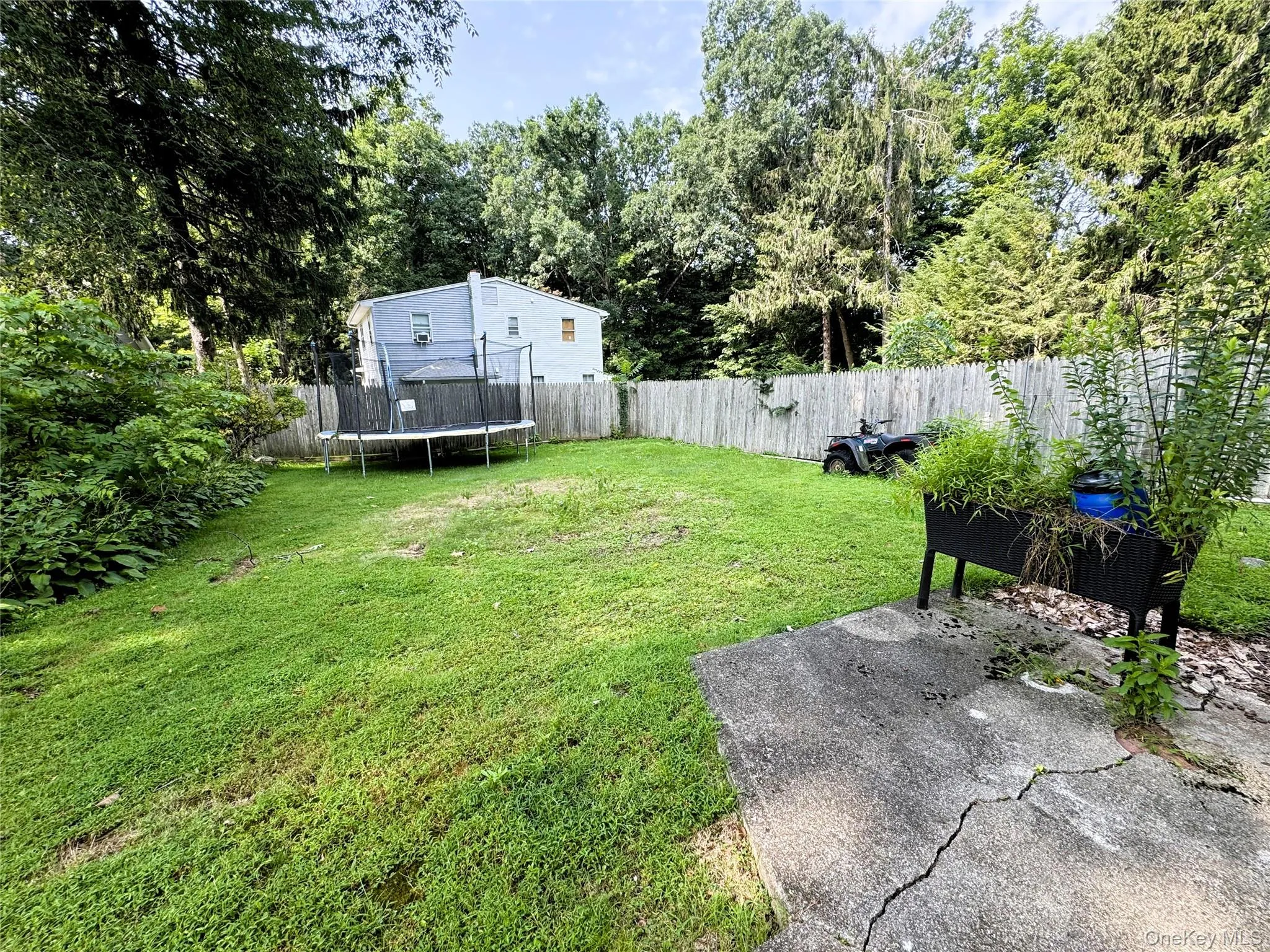 Expansive grassy yard with mature trees and a wooden privacy fence Expansive grassy yard with mature trees and a wooden privacy fence