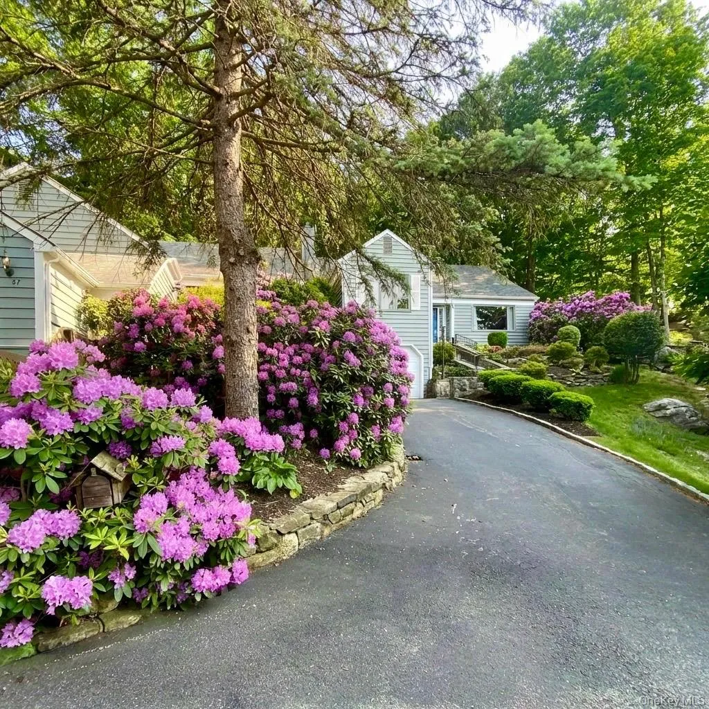 Spring view Spring view