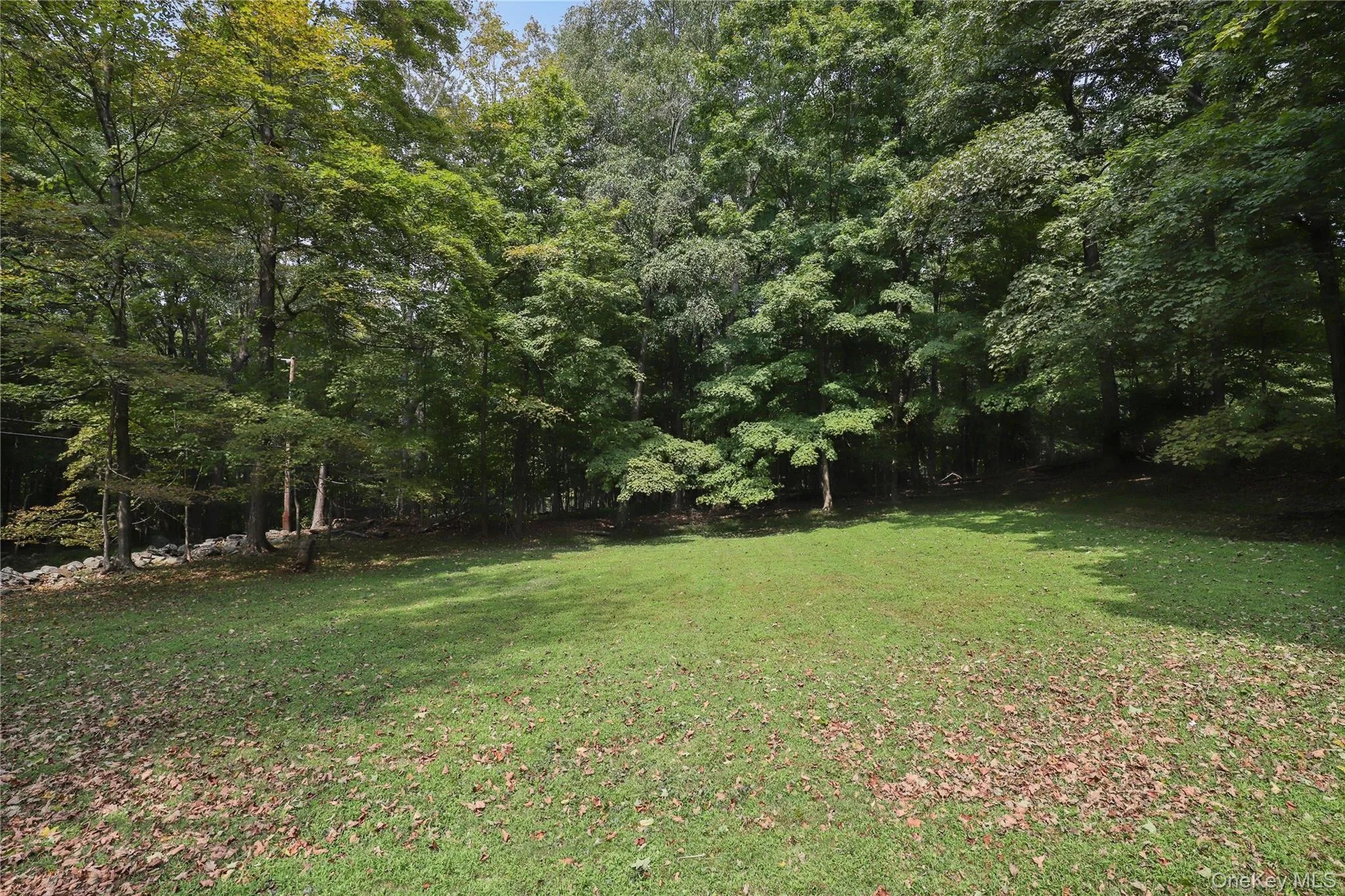 More yard. More yard.