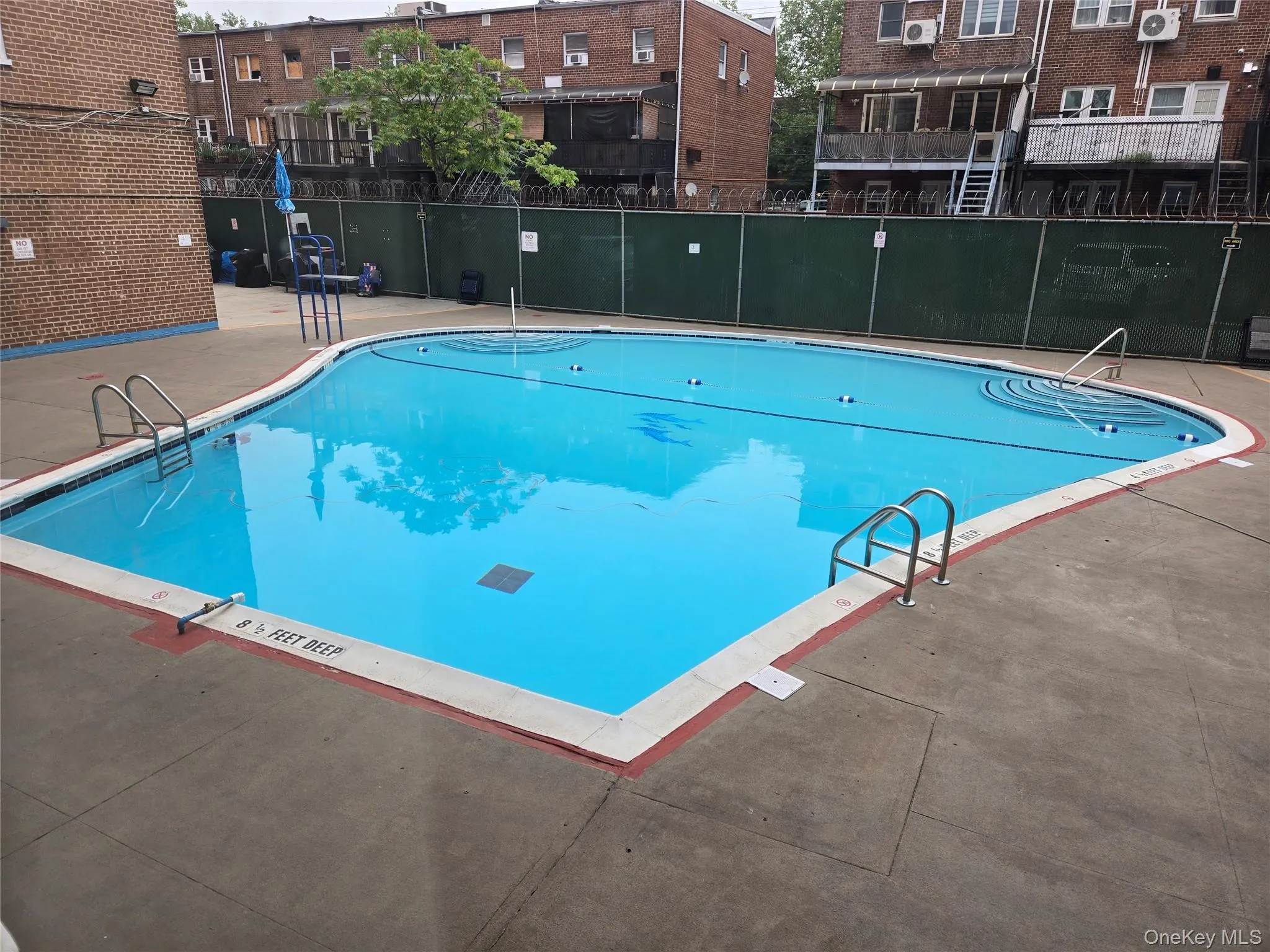 3903 Nostrand Avenue, New York, NY, 1 Bedroom Bedrooms, 3 Rooms Rooms,1 BathroomBathrooms,Residential,For Rent,Nostrand,0,1034079 3903 Nostrand Avenue, New York, NY, 1 Bedroom Bedrooms, 3 Rooms Rooms,1 BathroomBathrooms,Residential,For Rent,Nostrand,0,1034079