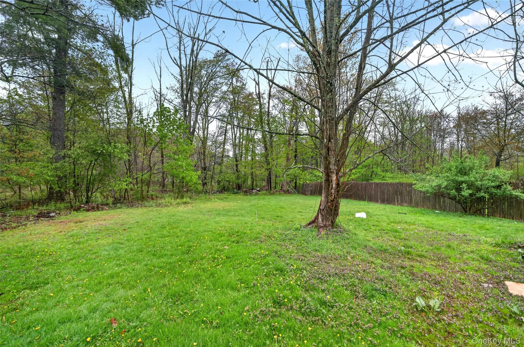 41 Rock Ridge Avenue, Thompson, NY, 2 Bedrooms Bedrooms, 5 Rooms Rooms,1 BathroomBathrooms,Residential Lease,For Rent,Rock Ridge,0,1034081 41 Rock Ridge Avenue, Thompson, NY, 2 Bedrooms Bedrooms, 5 Rooms Rooms,1 BathroomBathrooms,Residential Lease,For Rent,Rock Ridge,0,1034081