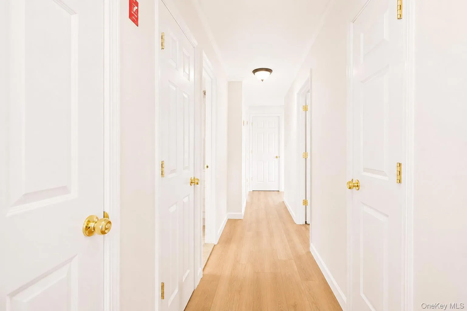 133 Cleveland Avenue, Long Beach, NY, 2 Bedrooms Bedrooms, 5 Rooms Rooms,1 BathroomBathrooms,Residential Lease,For Rent,Cleveland,0,1034125 133 Cleveland Avenue, Long Beach, NY, 2 Bedrooms Bedrooms, 5 Rooms Rooms,1 BathroomBathrooms,Residential Lease,For Rent,Cleveland,0,1034125