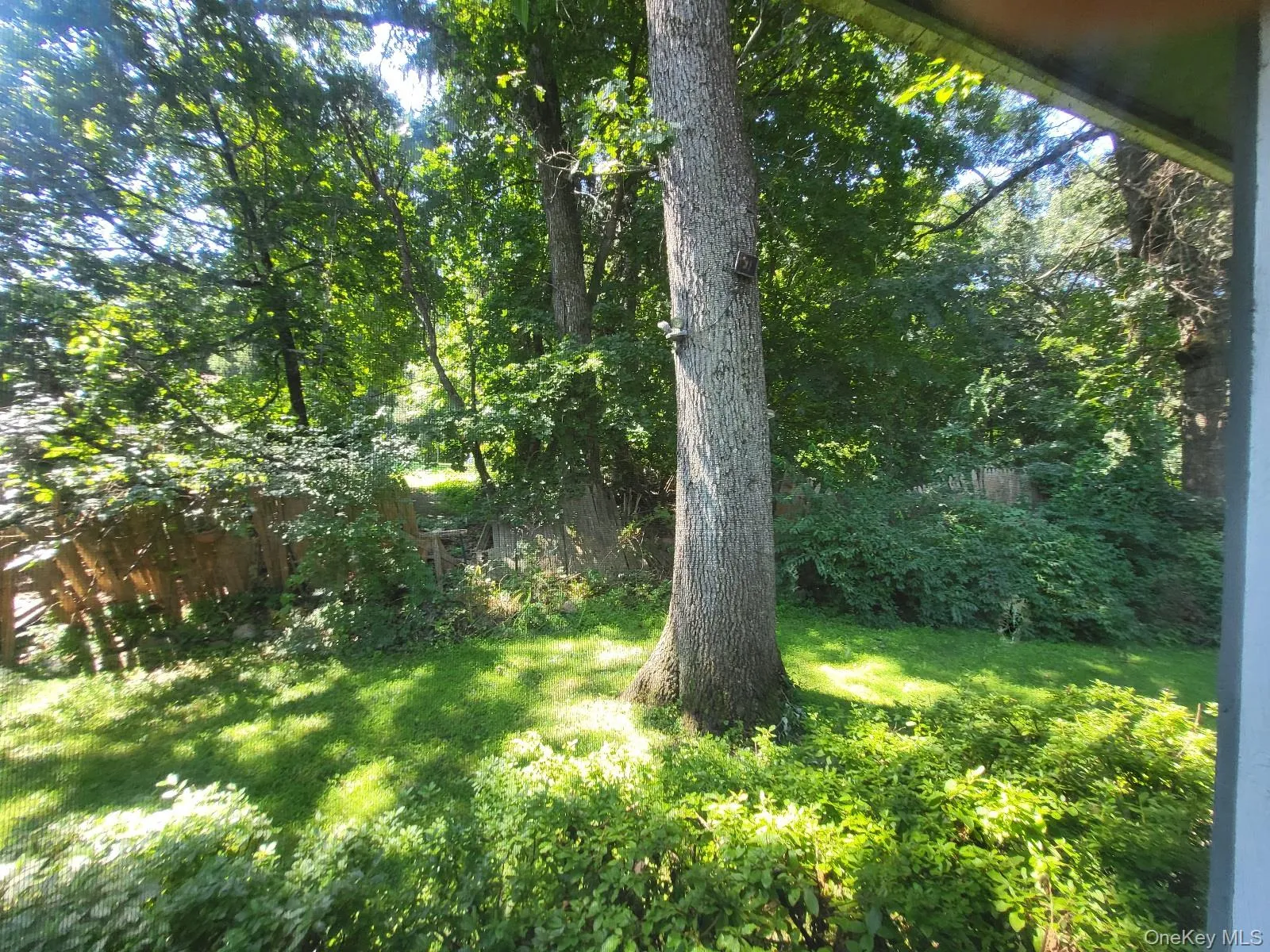 3 Vanamee Street, Newburgh (city), NY, 3 Bedrooms Bedrooms, 6 Rooms Rooms,1 BathroomBathrooms,Residential,For Rent,Vanamee,0,1034149 3 Vanamee Street, Newburgh (city), NY, 3 Bedrooms Bedrooms, 6 Rooms Rooms,1 BathroomBathrooms,Residential,For Rent,Vanamee,0,1034149