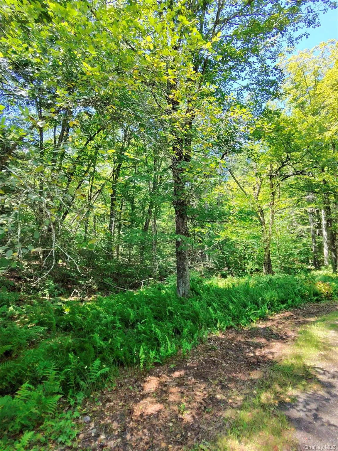 2735 Denning Road, Denning, NY, 3 Bedrooms Bedrooms, 8 Rooms Rooms,2 BathroomsBathrooms,Residential,For Rent,Denning,0,1034153 2735 Denning Road, Denning, NY, 3 Bedrooms Bedrooms, 8 Rooms Rooms,2 BathroomsBathrooms,Residential,For Rent,Denning,0,1034153