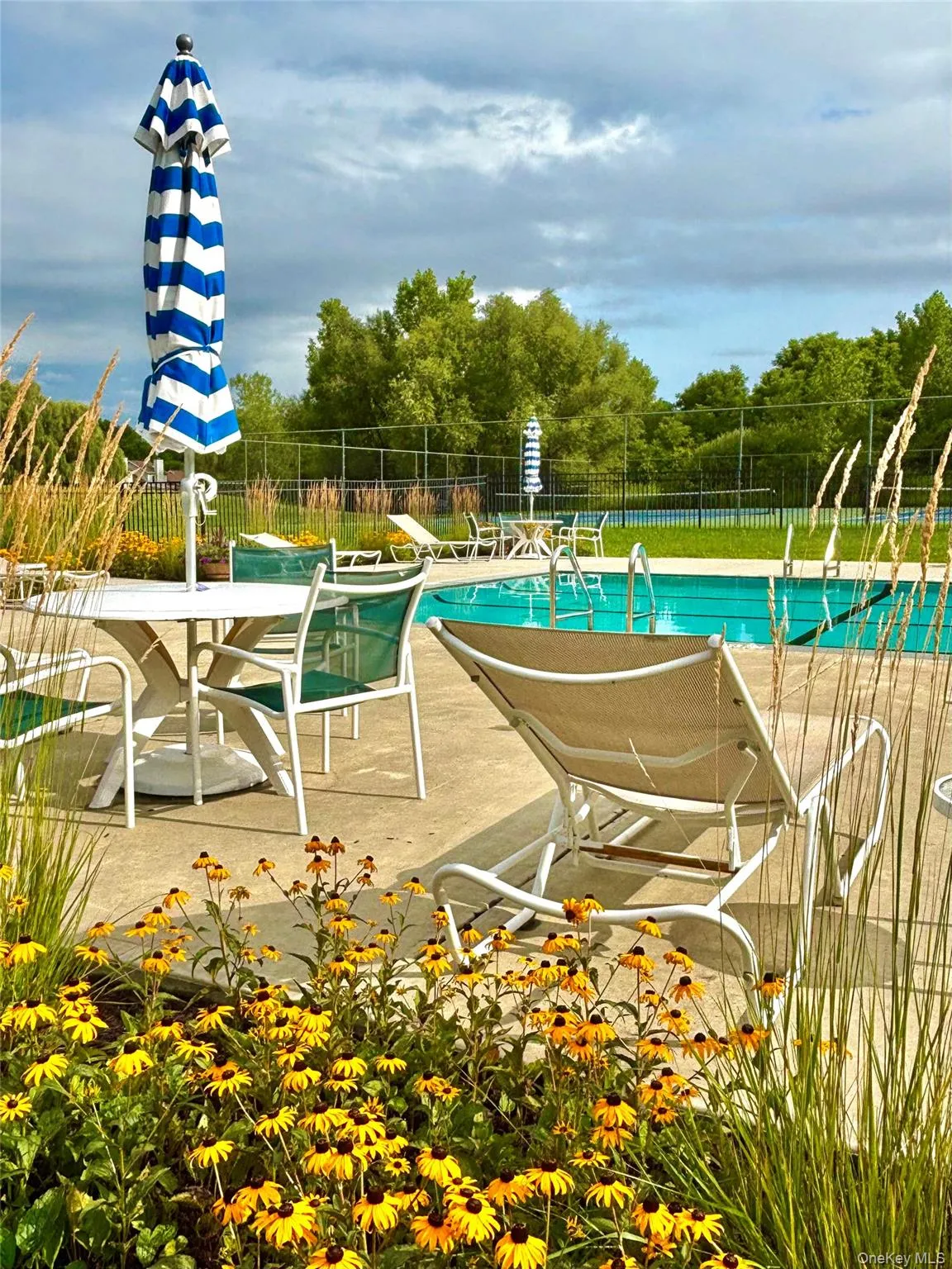 Pool and lounge chairs Pool and lounge chairs