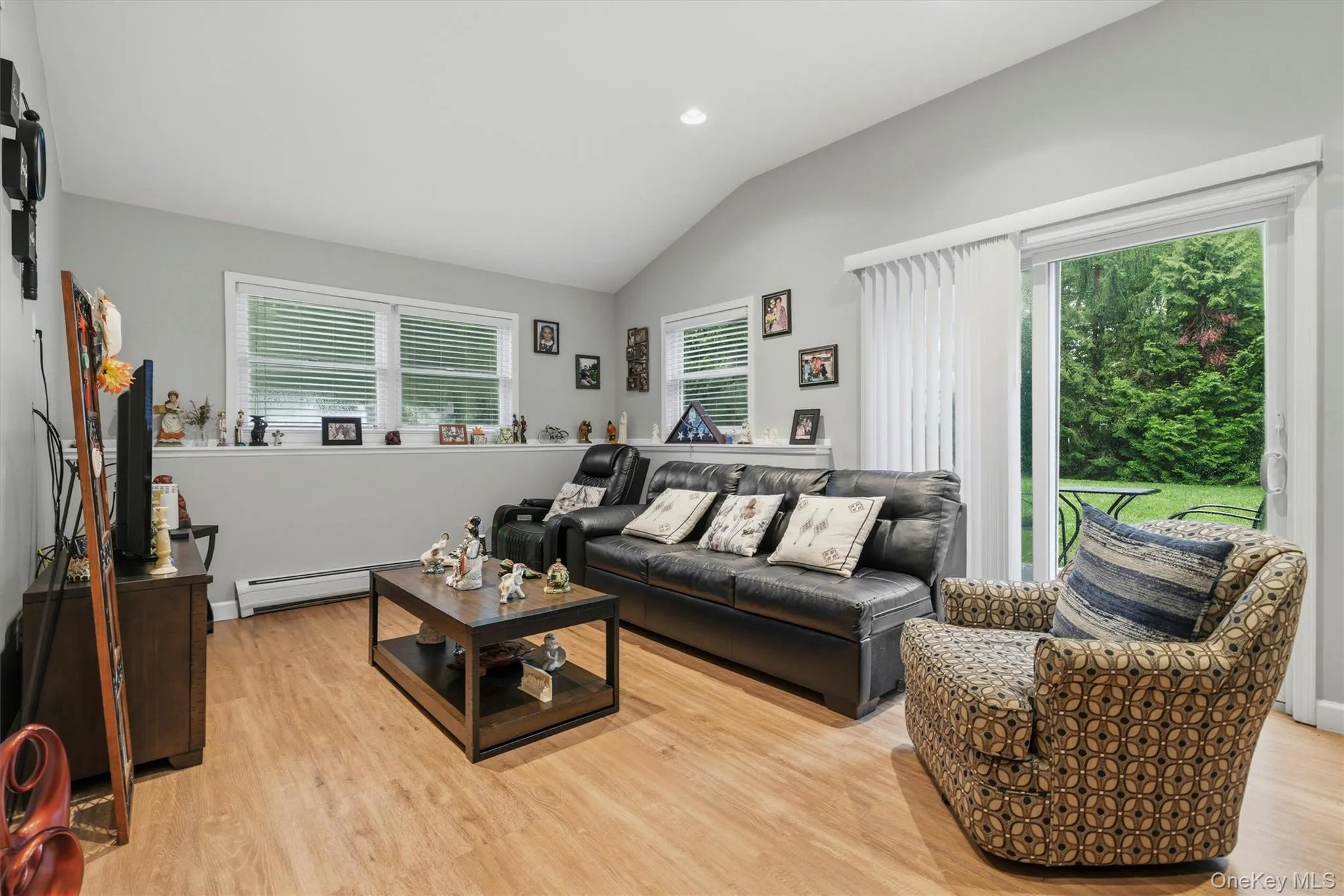 Accessory apt. - Lower level living room Accessory apt. - Lower level living room