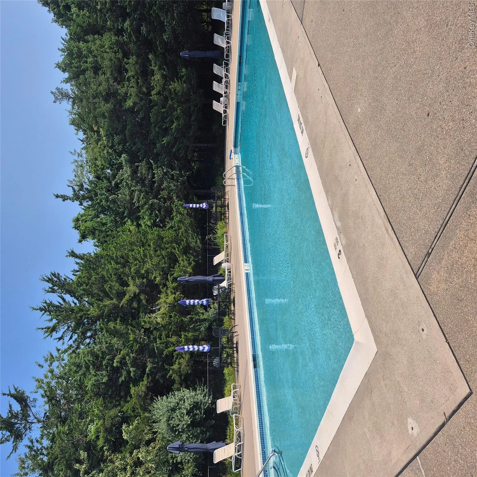 2501 Willow Pond Drive, Riverhead, NY, 1 Bedroom Bedrooms, 3 Rooms Rooms,1 BathroomBathrooms,Residential,For Rent,Willow Pond,0,1034250 2501 Willow Pond Drive, Riverhead, NY, 1 Bedroom Bedrooms, 3 Rooms Rooms,1 BathroomBathrooms,Residential,For Rent,Willow Pond,0,1034250