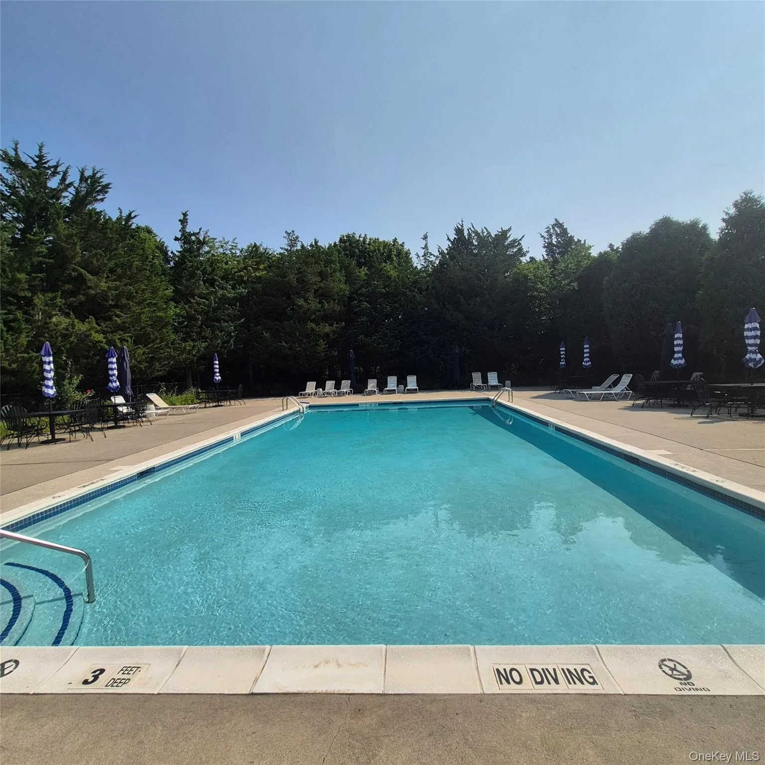 2501 Willow Pond Drive, Riverhead, NY, 1 Bedroom Bedrooms, 3 Rooms Rooms,1 BathroomBathrooms,Residential,For Rent,Willow Pond,0,1034250 2501 Willow Pond Drive, Riverhead, NY, 1 Bedroom Bedrooms, 3 Rooms Rooms,1 BathroomBathrooms,Residential,For Rent,Willow Pond,0,1034250