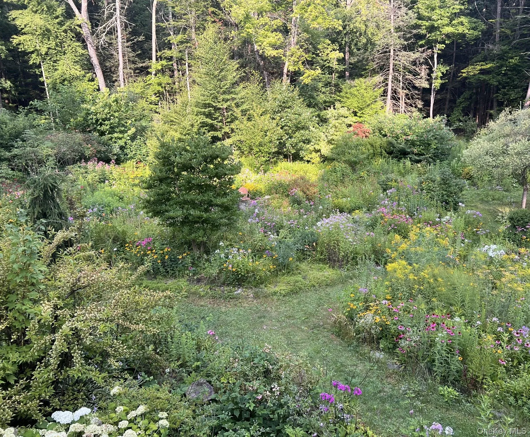 Expansive garden area featuring diverse plantings, mature trees, flowering shrubs, and natural landscaping with a woodland backdrop Expansive garden area featuring diverse plantings, mature trees, flowering shrubs, and natural landscaping with a woodland backdrop