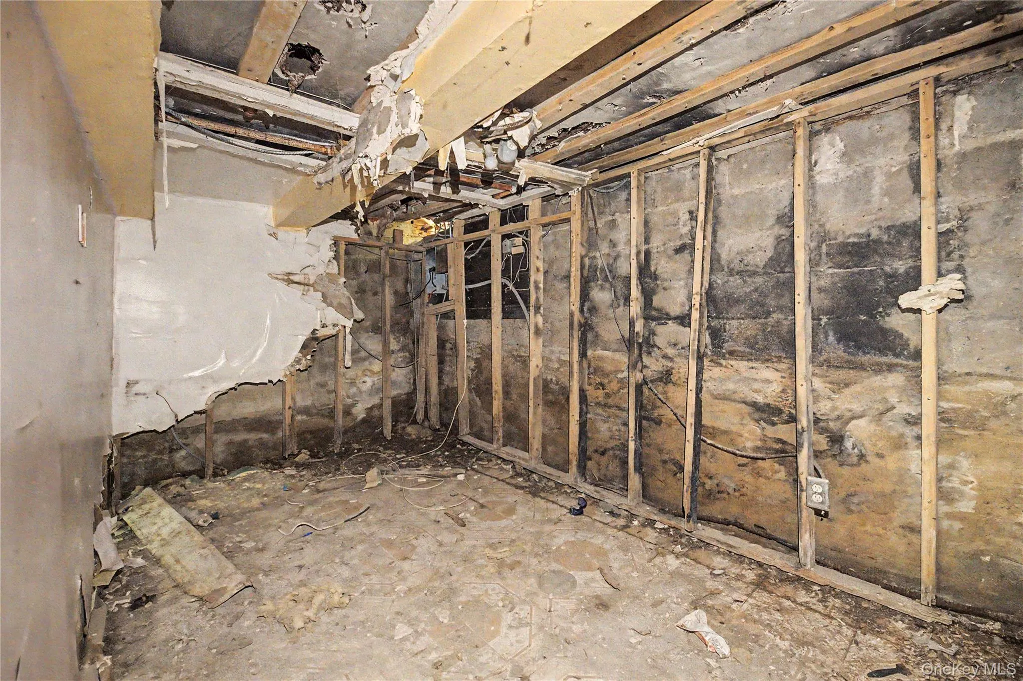 2923 Bruner Avenue, New York, NY, 5 Bedrooms Bedrooms, 7 Rooms Rooms,2 BathroomsBathrooms,Residential,For Rent,Bruner,0,1034277 2923 Bruner Avenue, New York, NY, 5 Bedrooms Bedrooms, 7 Rooms Rooms,2 BathroomsBathrooms,Residential,For Rent,Bruner,0,1034277