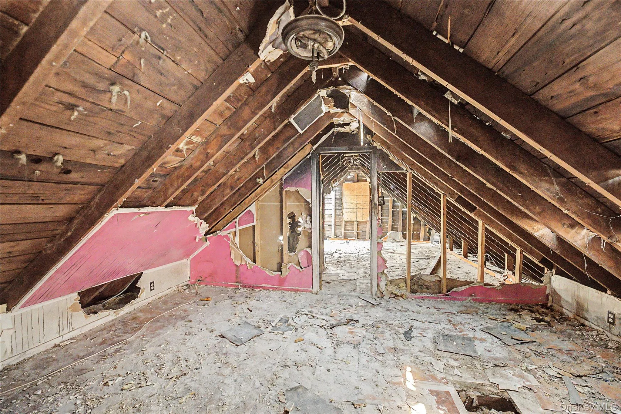2923 Bruner Avenue, New York, NY, 5 Bedrooms Bedrooms, 7 Rooms Rooms,2 BathroomsBathrooms,Residential,For Rent,Bruner,0,1034277 2923 Bruner Avenue, New York, NY, 5 Bedrooms Bedrooms, 7 Rooms Rooms,2 BathroomsBathrooms,Residential,For Rent,Bruner,0,1034277