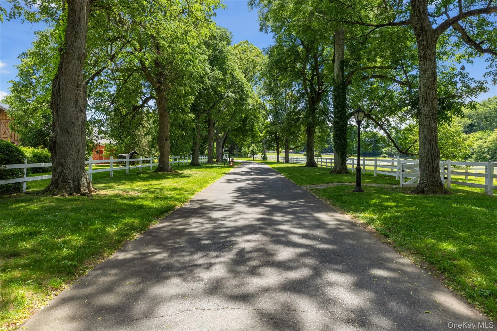 97 A Pound Hollow Road, Oyster Bay, NY, 10 Bedrooms Bedrooms, 24 Rooms Rooms,9 BathroomsBathrooms,Residential,For Rent,Pound Hollow,0,1034316 97 A Pound Hollow Road, Oyster Bay, NY, 10 Bedrooms Bedrooms, 24 Rooms Rooms,9 BathroomsBathrooms,Residential,For Rent,Pound Hollow,0,1034316