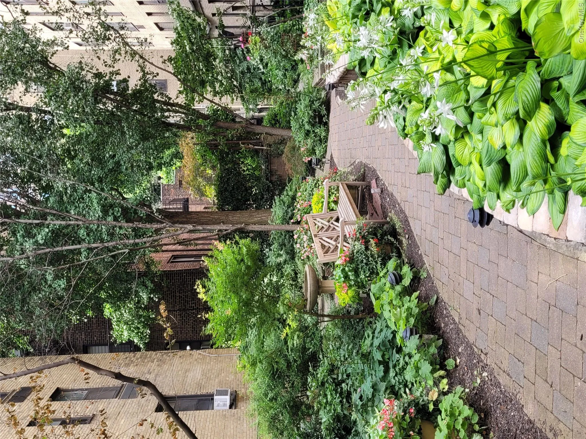 Backyard Backyard