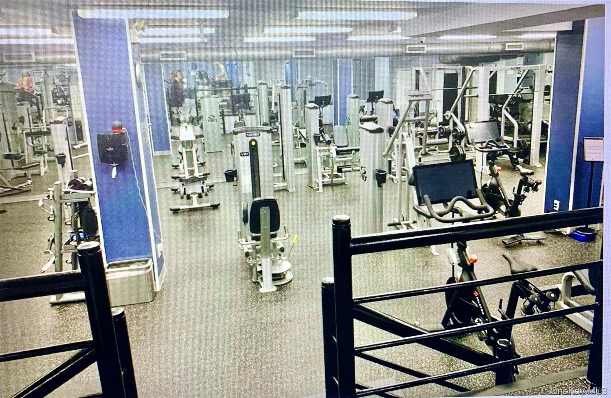 17-85 215 Street, New York, NY, 1 Bedroom Bedrooms, 4 Rooms Rooms,1 BathroomBathrooms,Residential,For Rent,215 Street,0,1034400 17-85 215 Street, New York, NY, 1 Bedroom Bedrooms, 4 Rooms Rooms,1 BathroomBathrooms,Residential,For Rent,215 Street,0,1034400