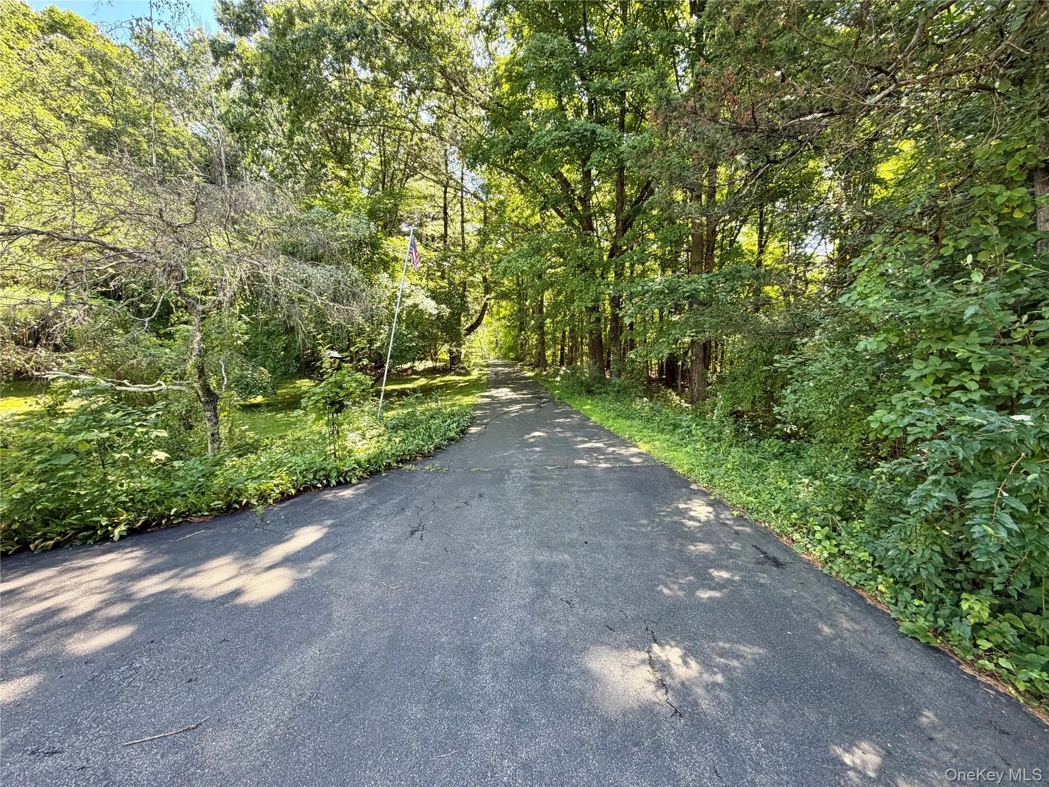 Driveway from N. Putt Corners Rd. Driveway from N. Putt Corners Rd.