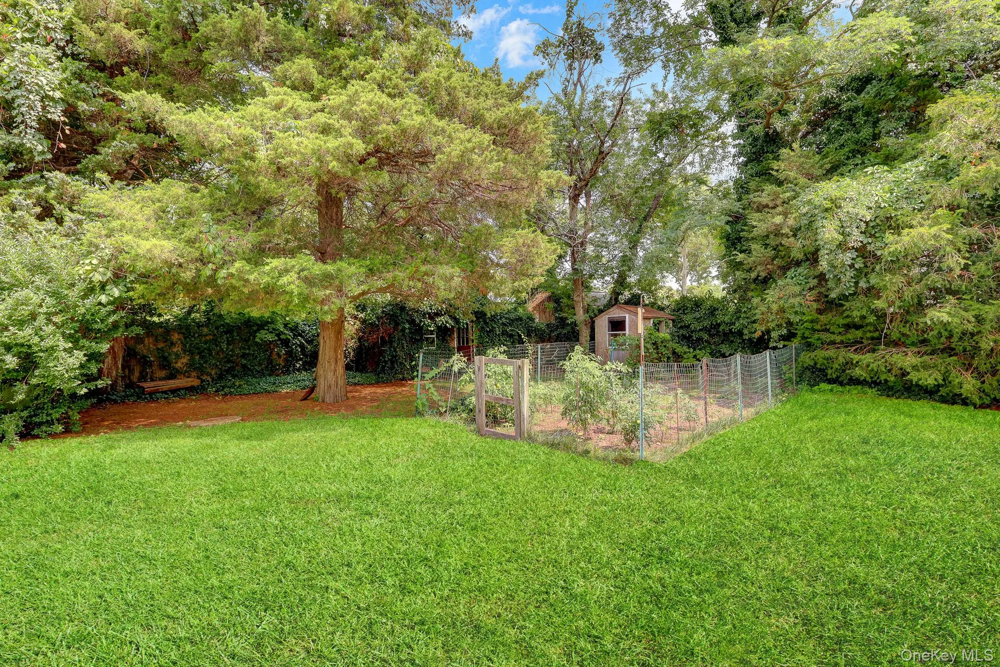 Backyard Backyard