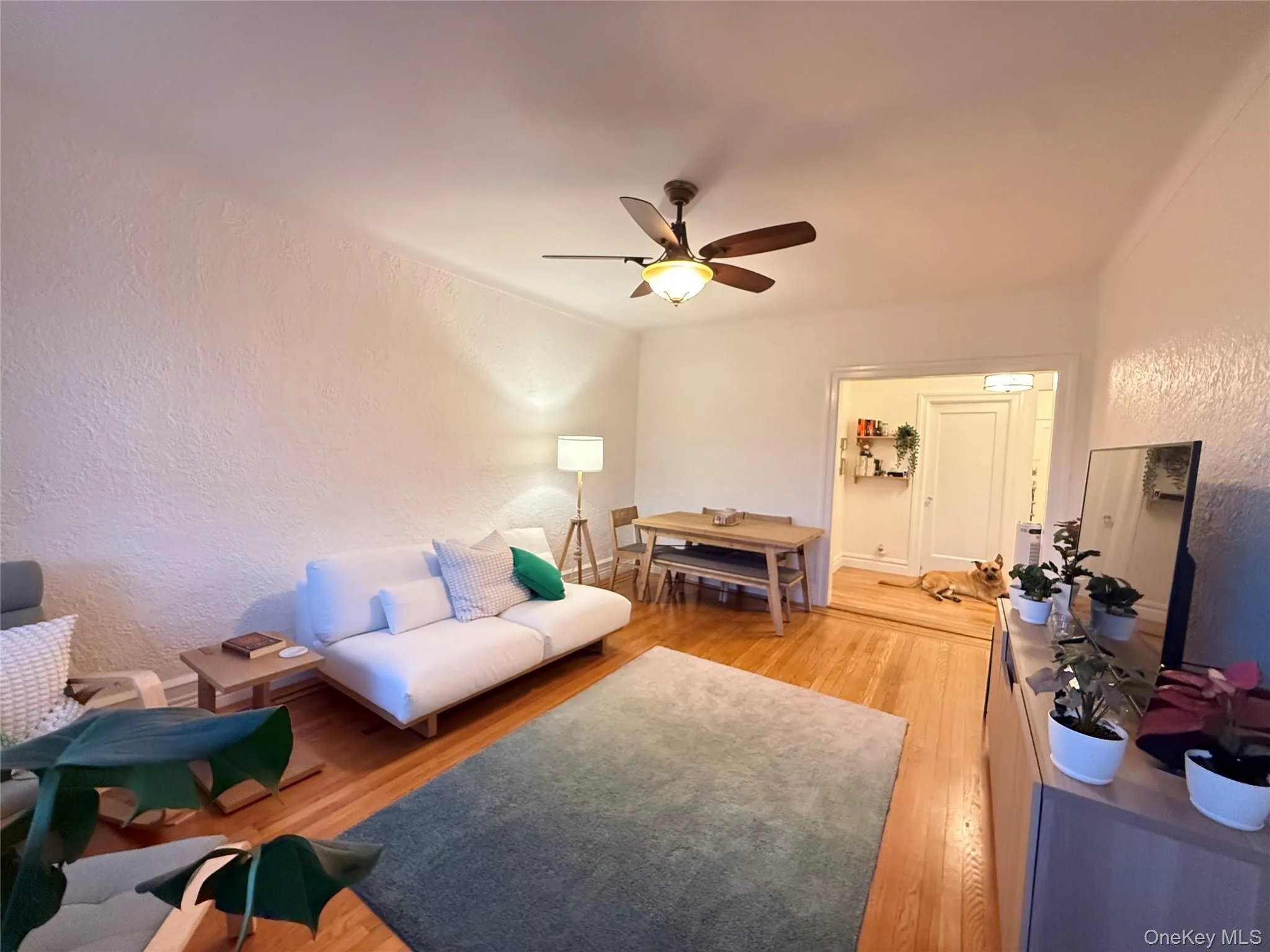 8384 116th Street, New York, NY, 2 Bedrooms Bedrooms, 4 Rooms Rooms,1 BathroomBathrooms,Residential,For Rent,116th,0,1034429 8384 116th Street, New York, NY, 2 Bedrooms Bedrooms, 4 Rooms Rooms,1 BathroomBathrooms,Residential,For Rent,116th,0,1034429