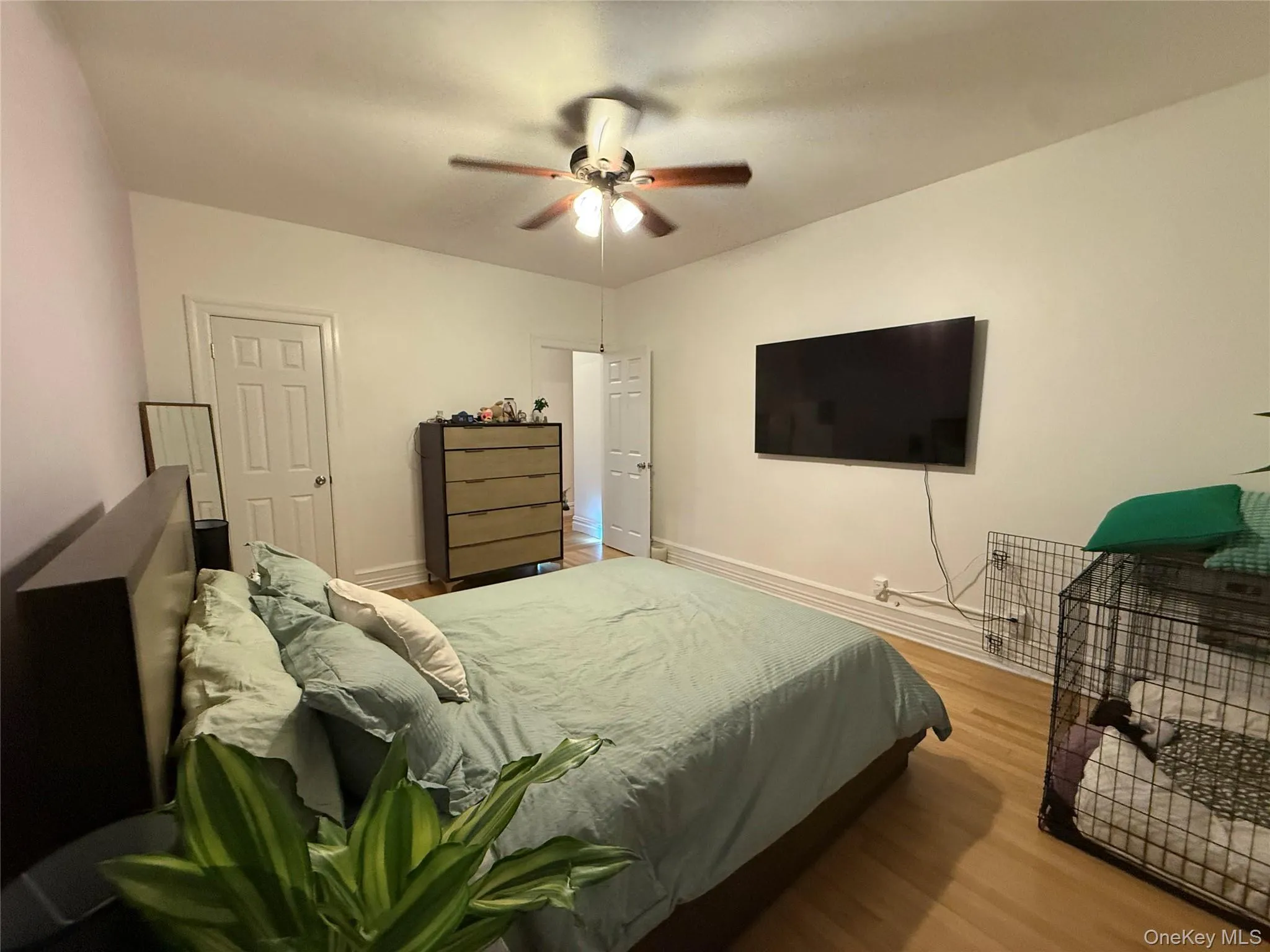 8384 116th Street, New York, NY, 2 Bedrooms Bedrooms, 4 Rooms Rooms,1 BathroomBathrooms,Residential,For Rent,116th,0,1034429 8384 116th Street, New York, NY, 2 Bedrooms Bedrooms, 4 Rooms Rooms,1 BathroomBathrooms,Residential,For Rent,116th,0,1034429