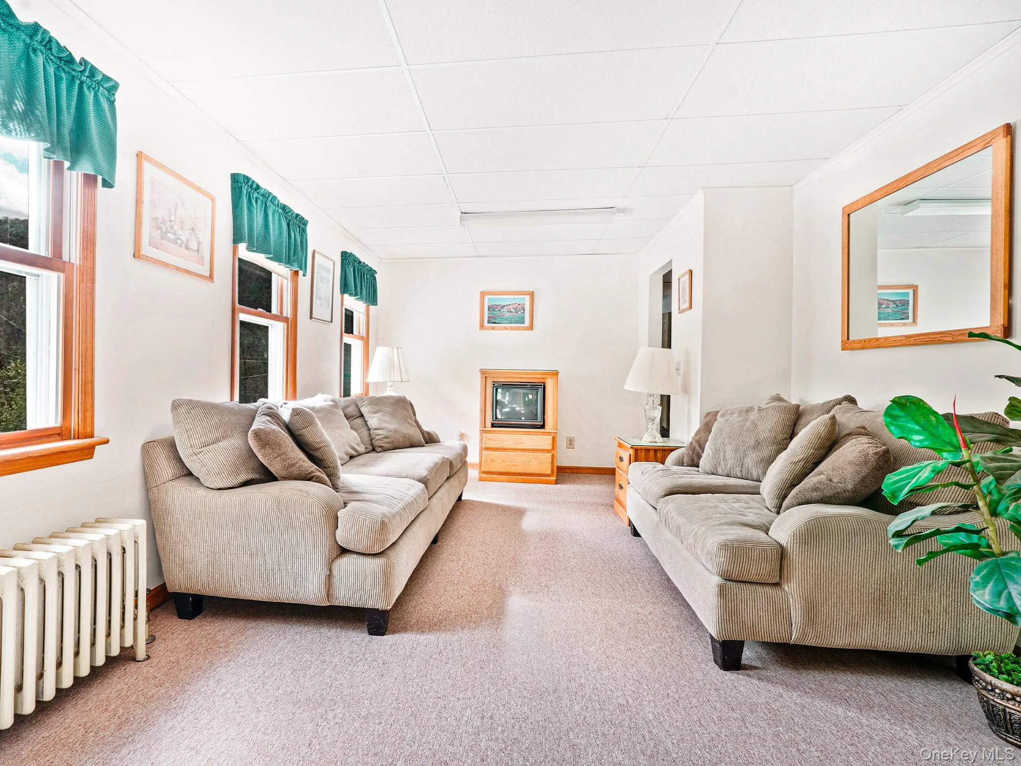 Carpeted living room with radiator and a drop ceiling Carpeted living room with radiator and a drop ceiling