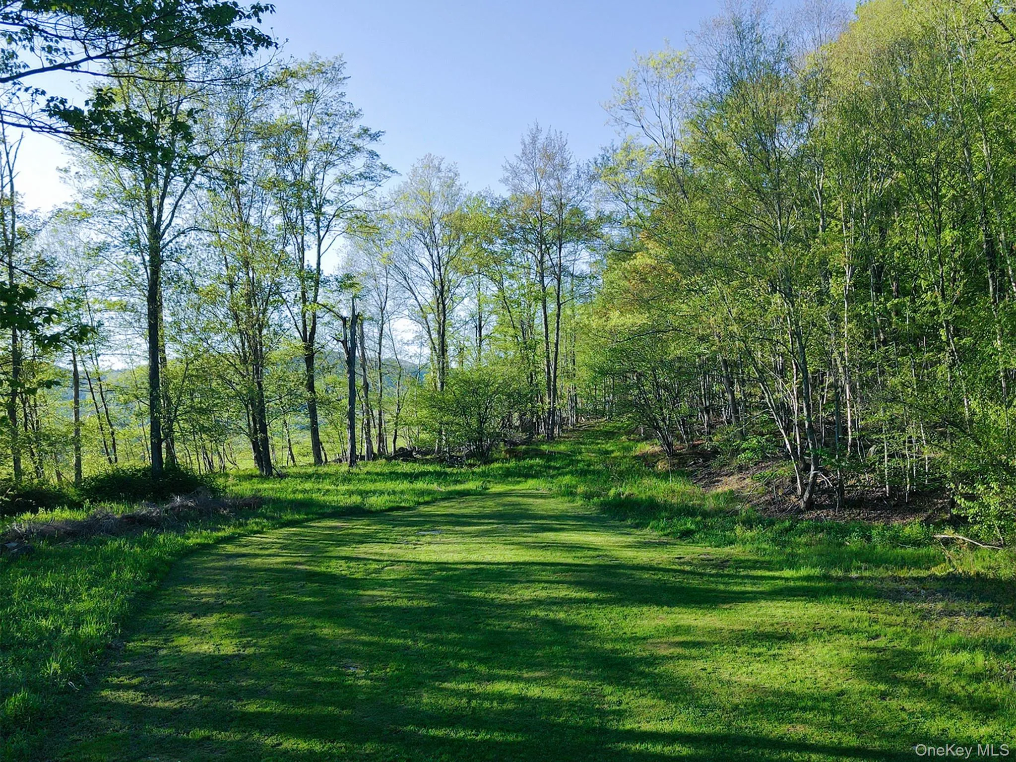 2182 Old Road 17, Rockland, NY, 17 Bedrooms Bedrooms, 24 Rooms Rooms,6 BathroomsBathrooms,Residential,For Rent,Old Road 17,0,1034440 2182 Old Road 17, Rockland, NY, 17 Bedrooms Bedrooms, 24 Rooms Rooms,6 BathroomsBathrooms,Residential,For Rent,Old Road 17,0,1034440