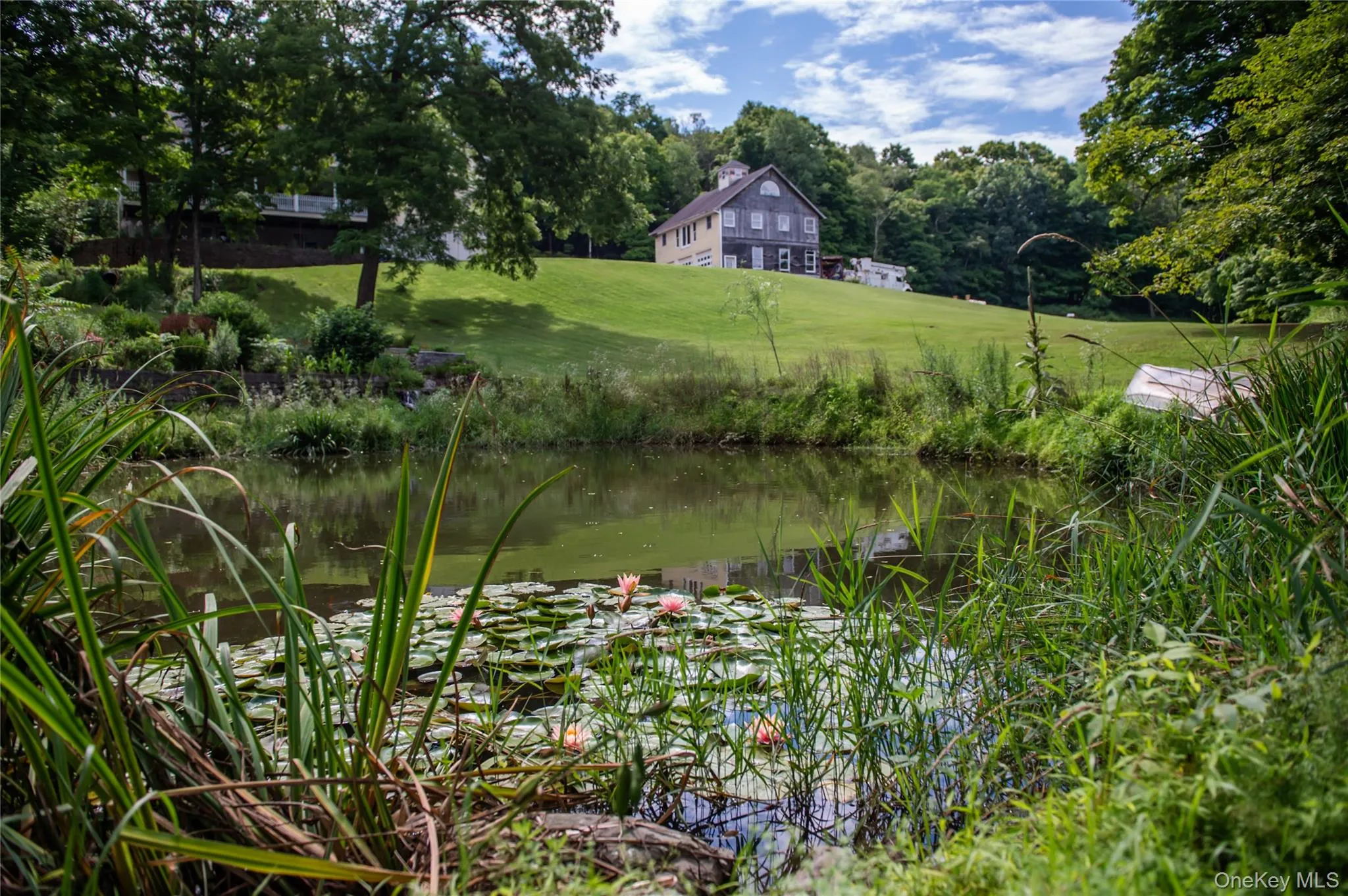 Pond Pond