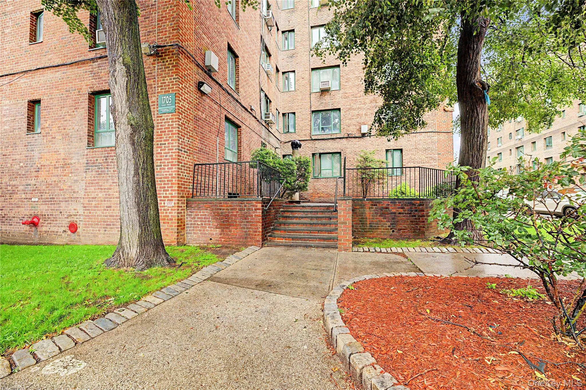 1705 Purdy Street, New York, NY, 1 Bedroom Bedrooms, 3 Rooms Rooms,1 BathroomBathrooms,Residential,For Rent,Purdy,0,1034471 1705 Purdy Street, New York, NY, 1 Bedroom Bedrooms, 3 Rooms Rooms,1 BathroomBathrooms,Residential,For Rent,Purdy,0,1034471