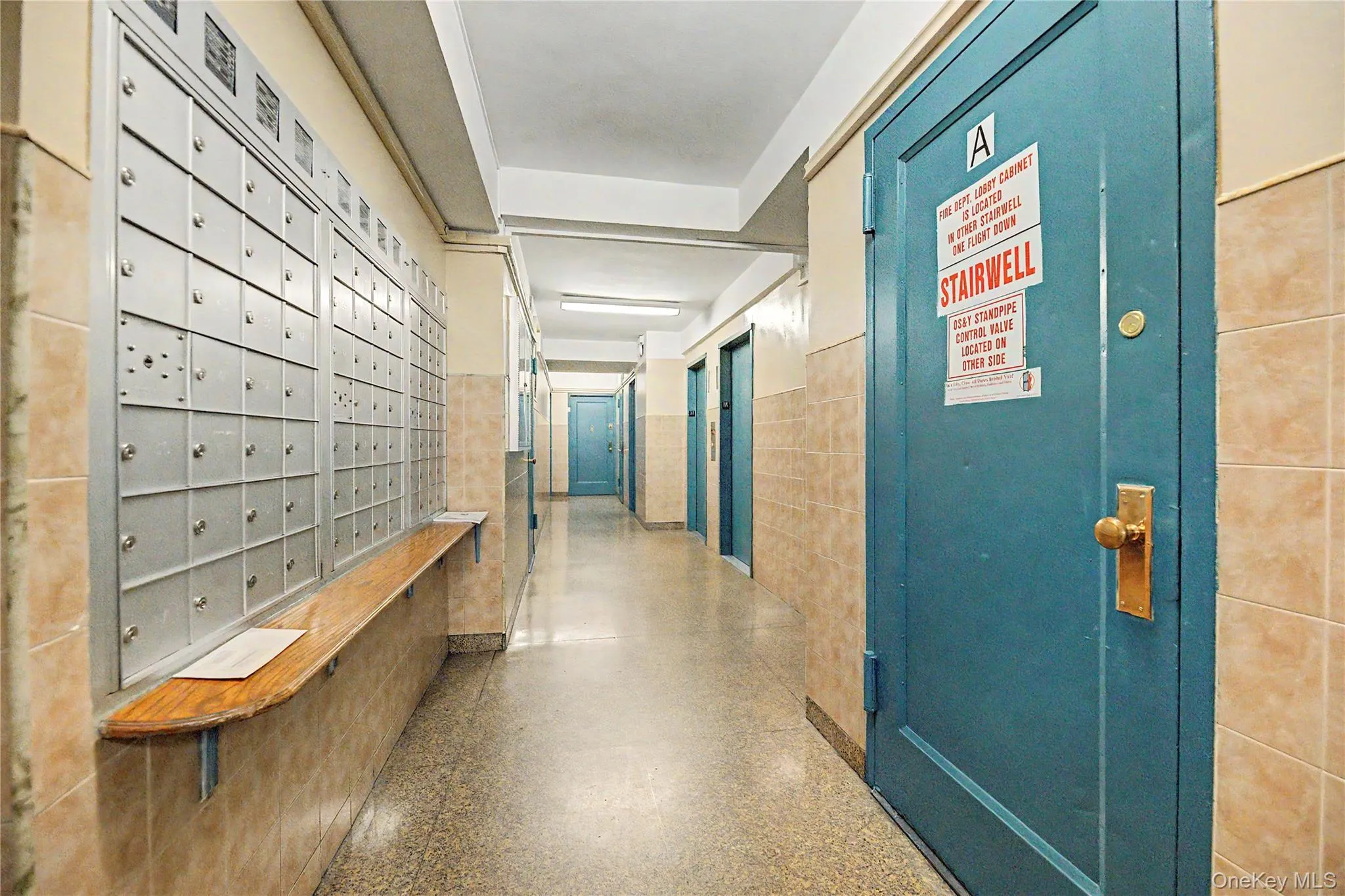 1705 Purdy Street, New York, NY, 1 Bedroom Bedrooms, 3 Rooms Rooms,1 BathroomBathrooms,Residential,For Rent,Purdy,0,1034471 1705 Purdy Street, New York, NY, 1 Bedroom Bedrooms, 3 Rooms Rooms,1 BathroomBathrooms,Residential,For Rent,Purdy,0,1034471