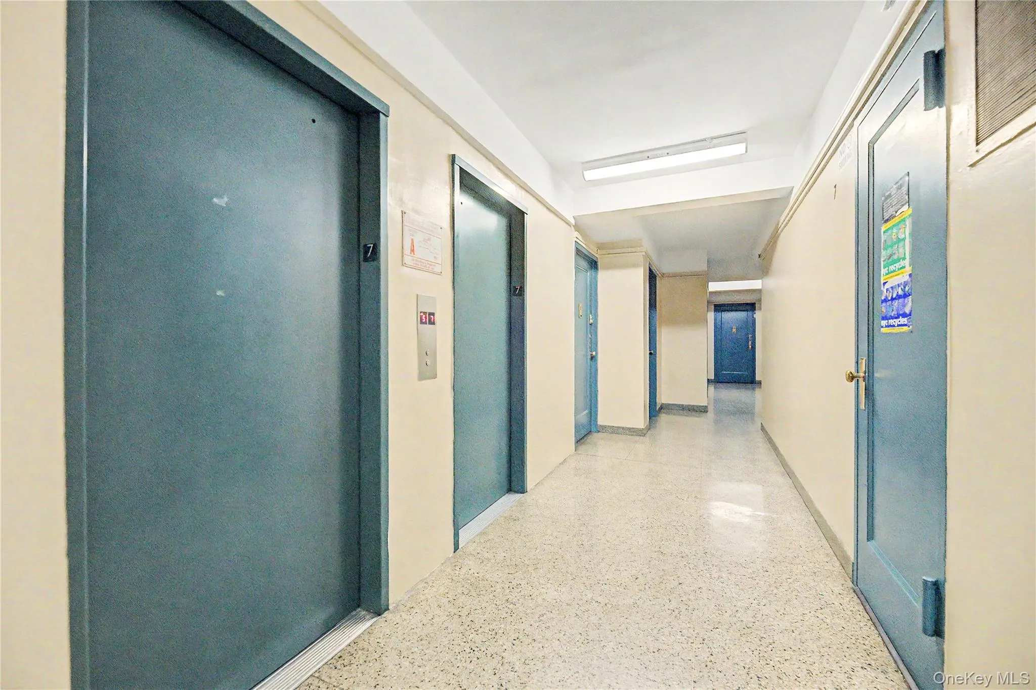 1705 Purdy Street, New York, NY, 1 Bedroom Bedrooms, 3 Rooms Rooms,1 BathroomBathrooms,Residential,For Rent,Purdy,0,1034471 1705 Purdy Street, New York, NY, 1 Bedroom Bedrooms, 3 Rooms Rooms,1 BathroomBathrooms,Residential,For Rent,Purdy,0,1034471