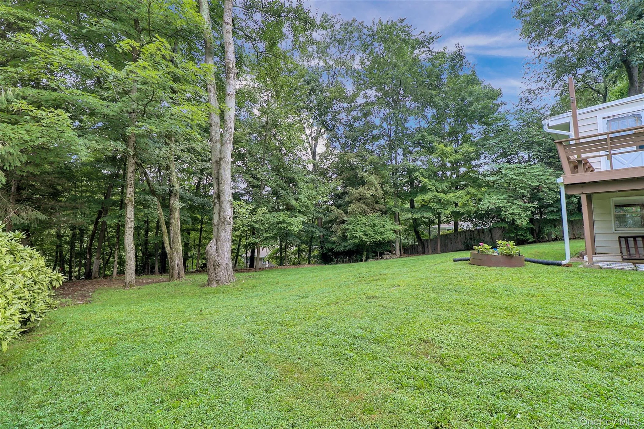 Large, flat back yard Large, flat back yard