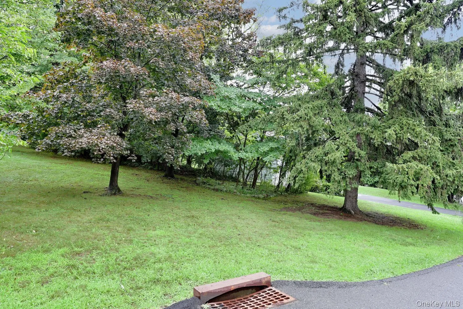 Small strip of land to the left of driveway that is part of the property. Small strip of land to the left of driveway that is part of the property.