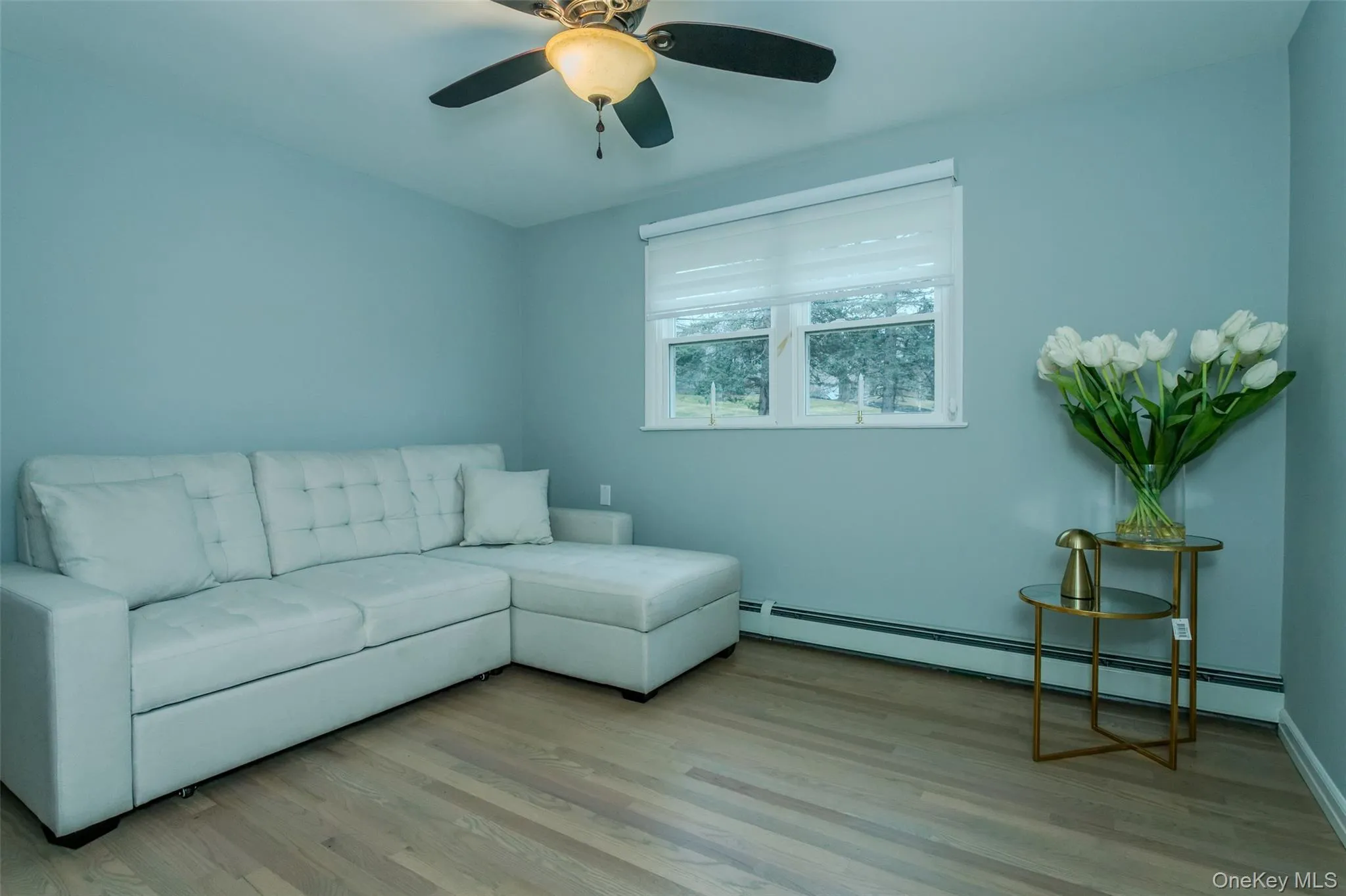 Living room with light hardwood / wood-style floors, ceiling fan, and a baseboard heating unit Living room with light hardwood / wood-style floors, ceiling fan, and a baseboard heating unit