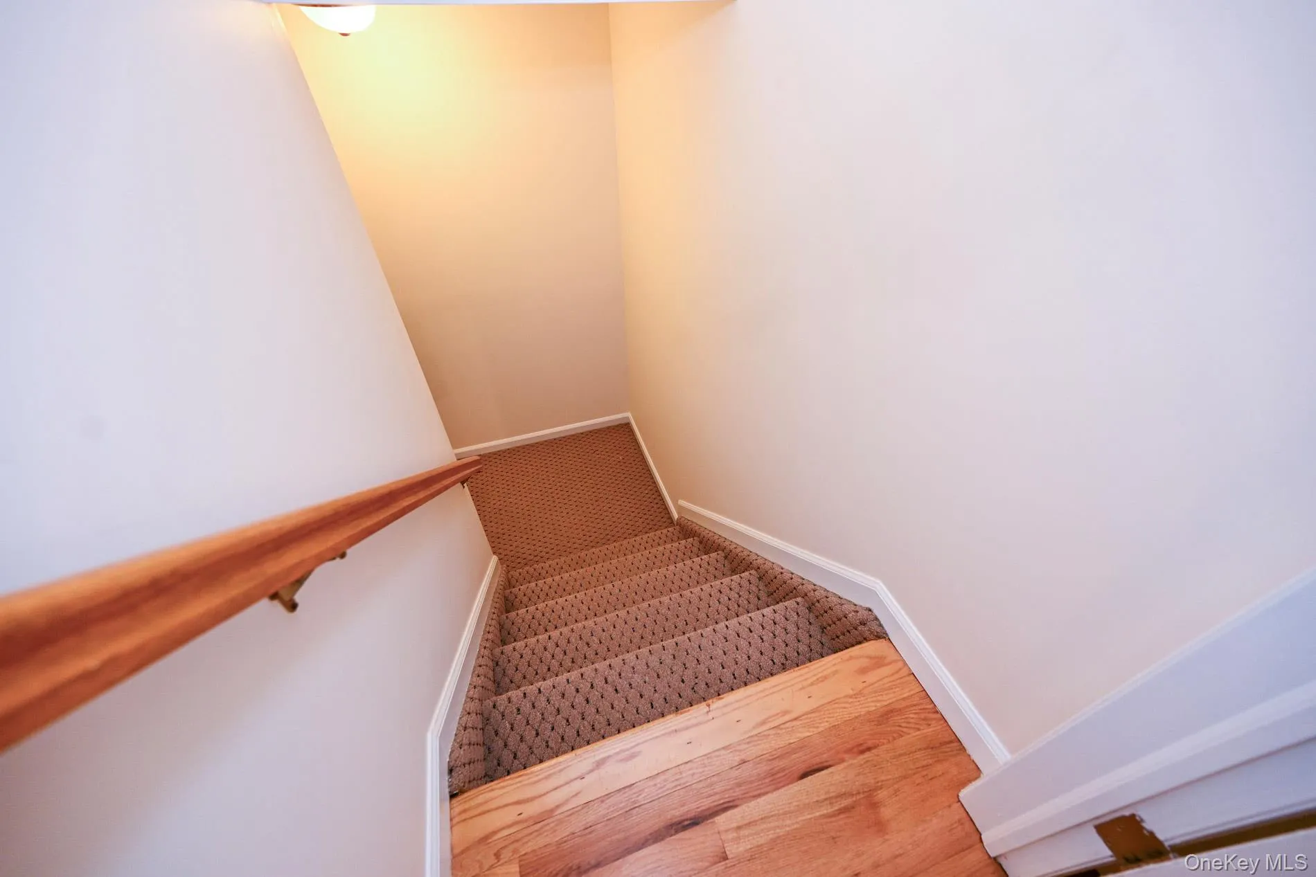 859 Maloon Avenue, Hempstead, NY, 5 Bedrooms Bedrooms, 15 Rooms Rooms,4 BathroomsBathrooms,Residential,For Rent,Maloon,0,1034516 859 Maloon Avenue, Hempstead, NY, 5 Bedrooms Bedrooms, 15 Rooms Rooms,4 BathroomsBathrooms,Residential,For Rent,Maloon,0,1034516
