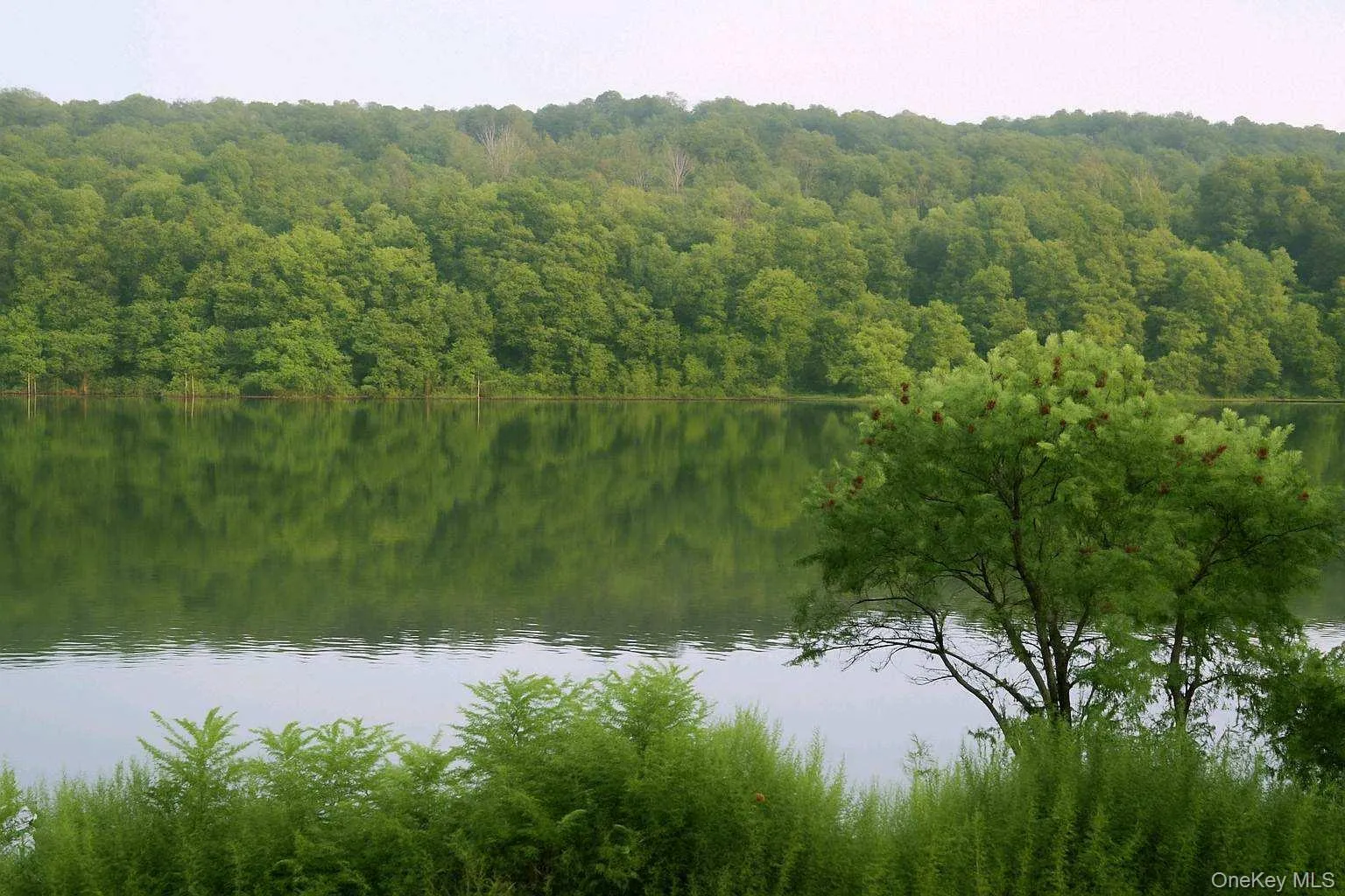 580 Lakes Road, Monroe, NY, 3 Bedrooms Bedrooms, 7 Rooms Rooms,2 BathroomsBathrooms,Residential Lease,For Rent,Lakes,0,1034558 580 Lakes Road, Monroe, NY, 3 Bedrooms Bedrooms, 7 Rooms Rooms,2 BathroomsBathrooms,Residential Lease,For Rent,Lakes,0,1034558