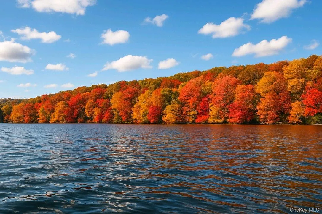 580 Lakes Road, Monroe, NY, 3 Bedrooms Bedrooms, 7 Rooms Rooms,2 BathroomsBathrooms,Residential Lease,For Rent,Lakes,0,1034558 580 Lakes Road, Monroe, NY, 3 Bedrooms Bedrooms, 7 Rooms Rooms,2 BathroomsBathrooms,Residential Lease,For Rent,Lakes,0,1034558