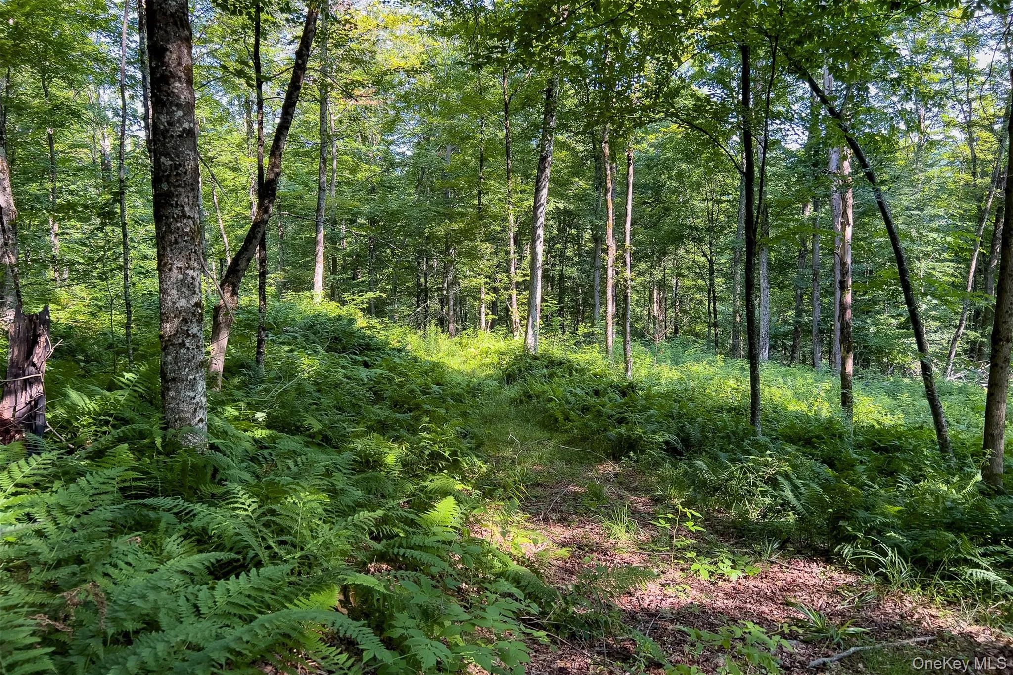 Lot #11 Franklin Depot Road, Sidney, NY, ,Land,For Rent,Franklin Depot,0,1034570 Lot #11 Franklin Depot Road, Sidney, NY, ,Land,For Rent,Franklin Depot,0,1034570