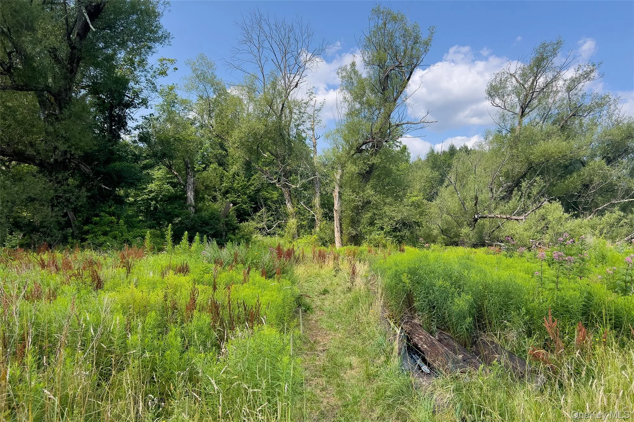 Lot #11 Franklin Depot Road, Sidney, NY, ,Land,For Rent,Franklin Depot,0,1034570 Lot #11 Franklin Depot Road, Sidney, NY, ,Land,For Rent,Franklin Depot,0,1034570