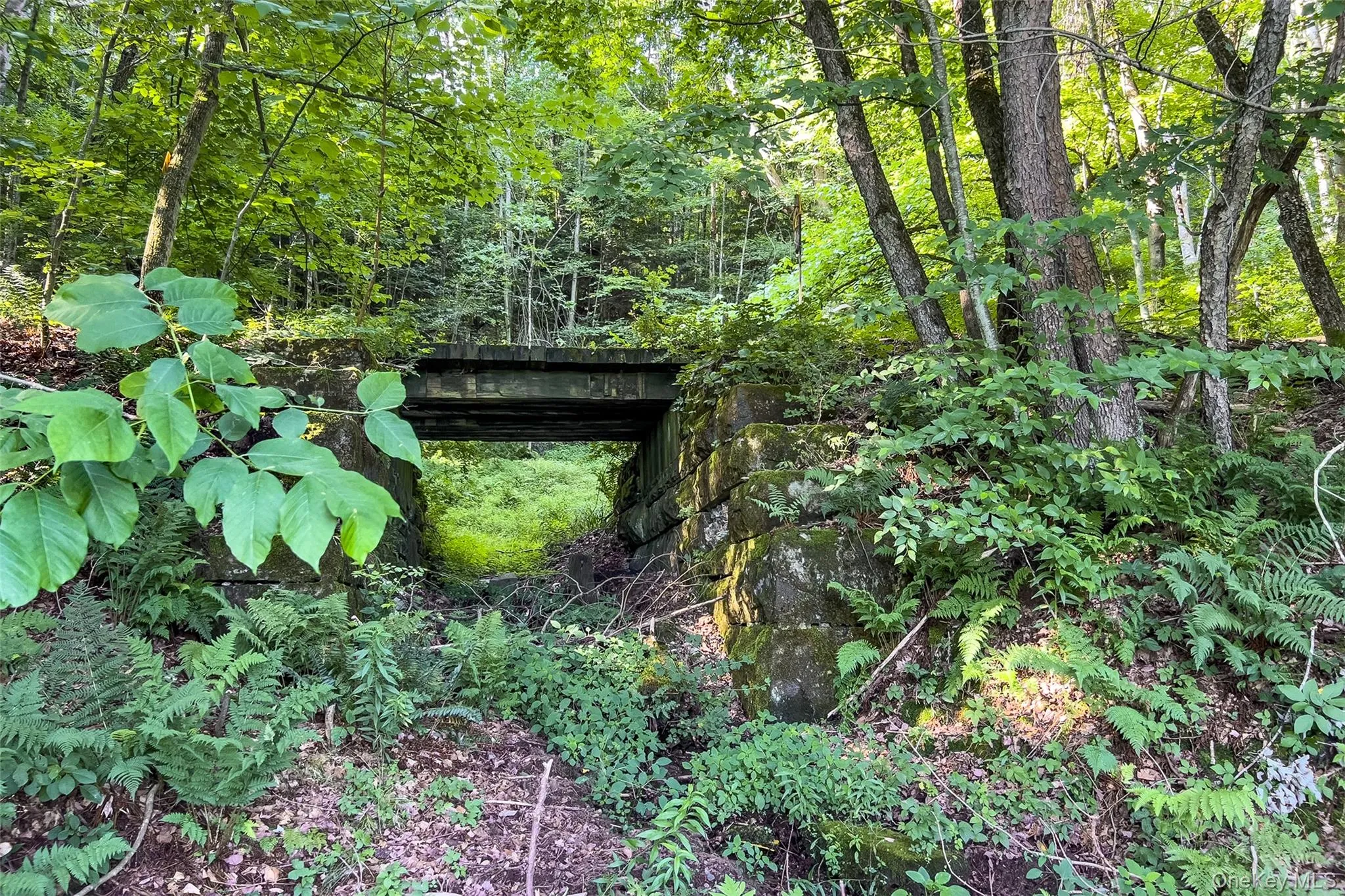 Lot #11 Franklin Depot Road, Sidney, NY, ,Land,For Rent,Franklin Depot,0,1034570 Lot #11 Franklin Depot Road, Sidney, NY, ,Land,For Rent,Franklin Depot,0,1034570