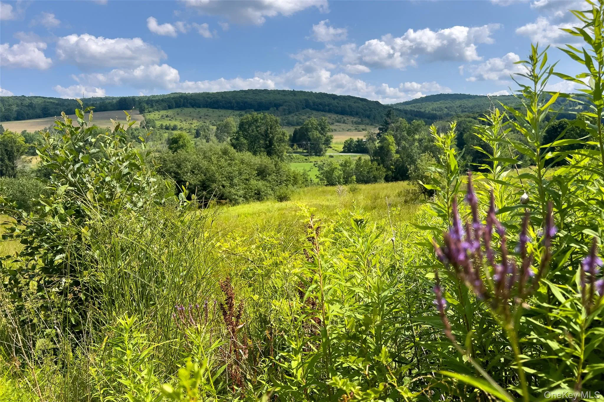 Lot #11 Franklin Depot Road, Sidney, NY, ,Land,For Rent,Franklin Depot,0,1034570 Lot #11 Franklin Depot Road, Sidney, NY, ,Land,For Rent,Franklin Depot,0,1034570
